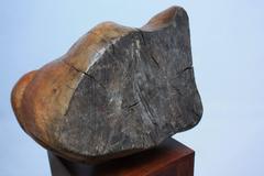 Free-Form Burl Wood 'Head' Sculpture