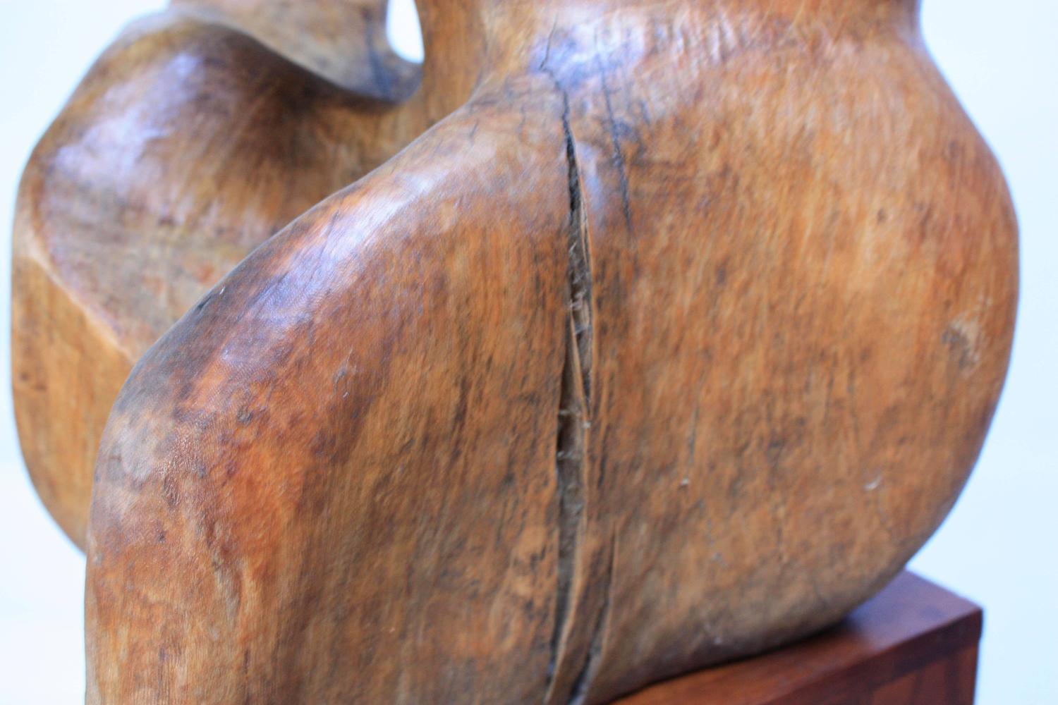 FreeForm Burl Wood 'Head' Sculpture For Sale at 1stdibs