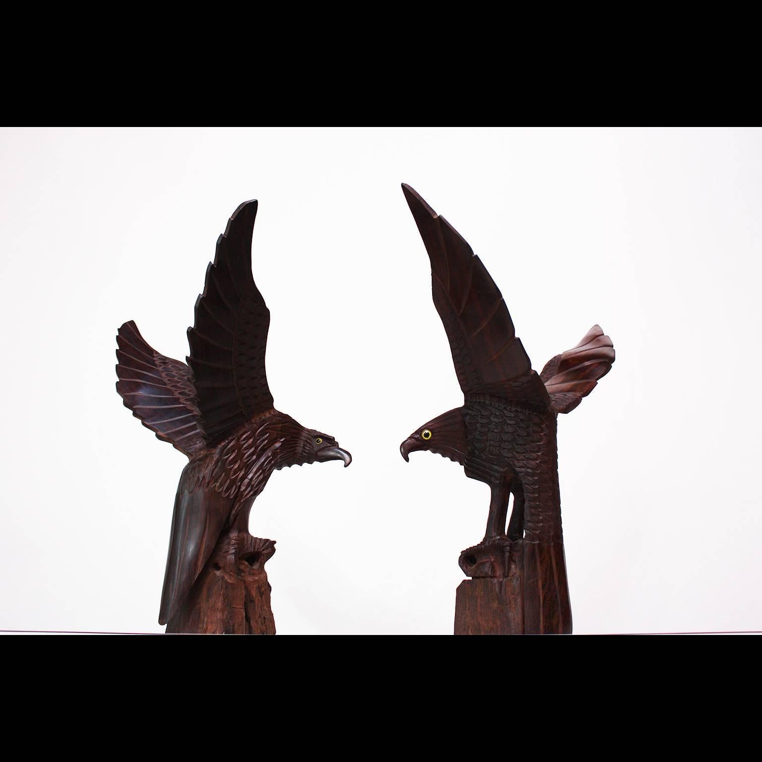 These substantial, hand-carved ironwood eagles are unusual in their large size and represent a male and female pairing with wings aloft. The use of Ironwood (palo fierro) to create sculptures of animals and figures is attributed to a Seri Indian,