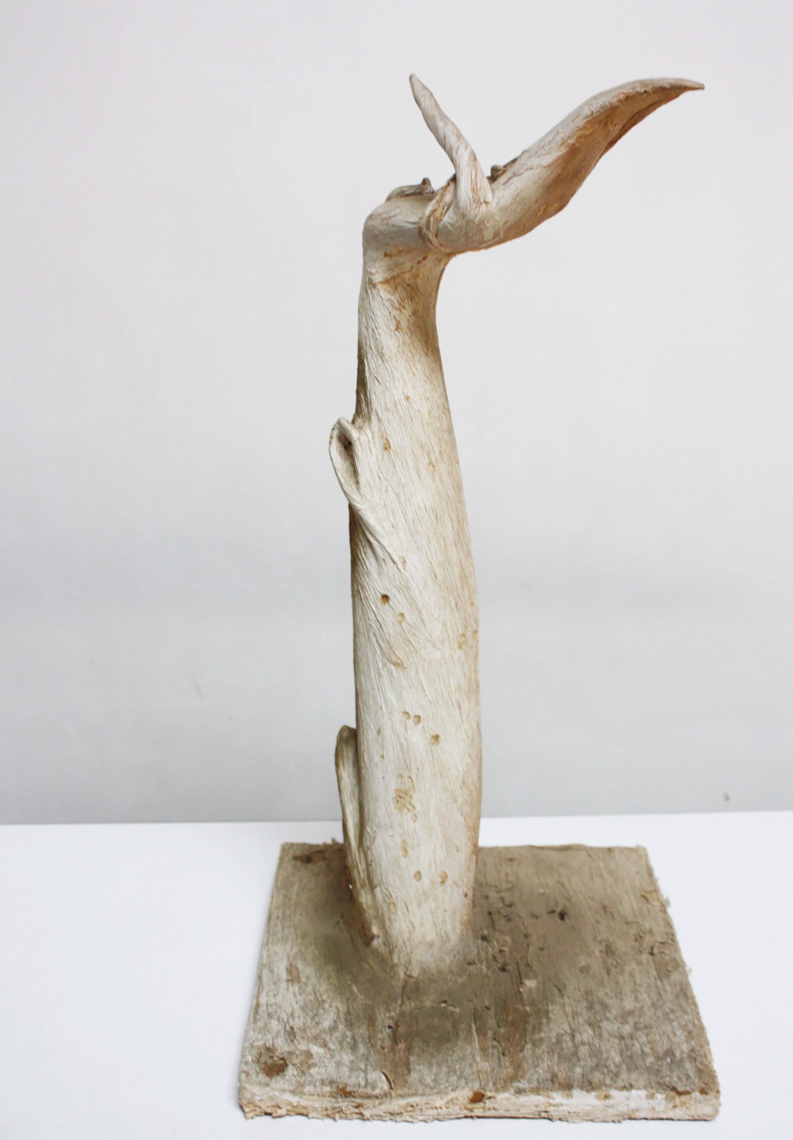 Primitive Petrified and Painted Tree Branch 'Hand' Sculpture on Board