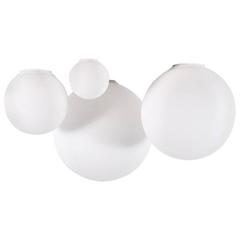 Michele De Lucchi Dioscuri 42 Outdoor Wall or Ceiling Light 6
