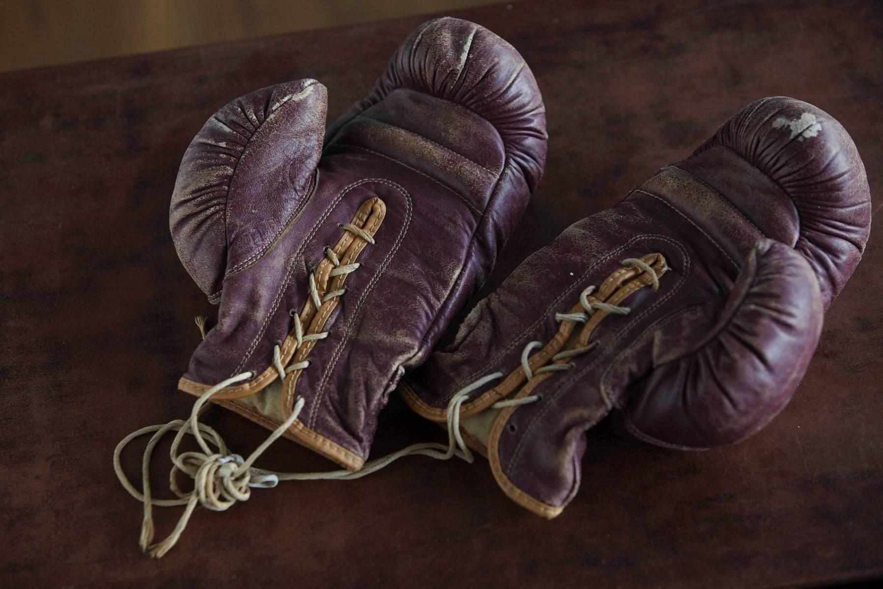 berg boxing gloves