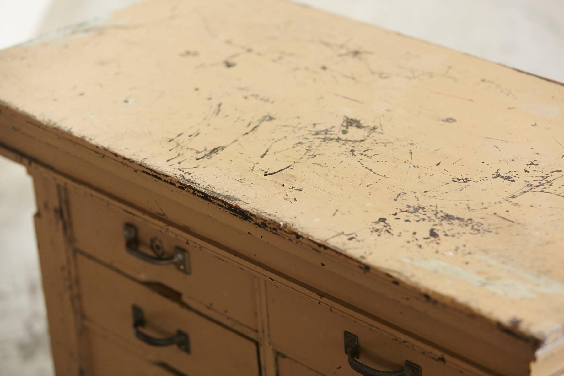 Painted Original Paint 12-Drawer Cabinet in a Distressed Look