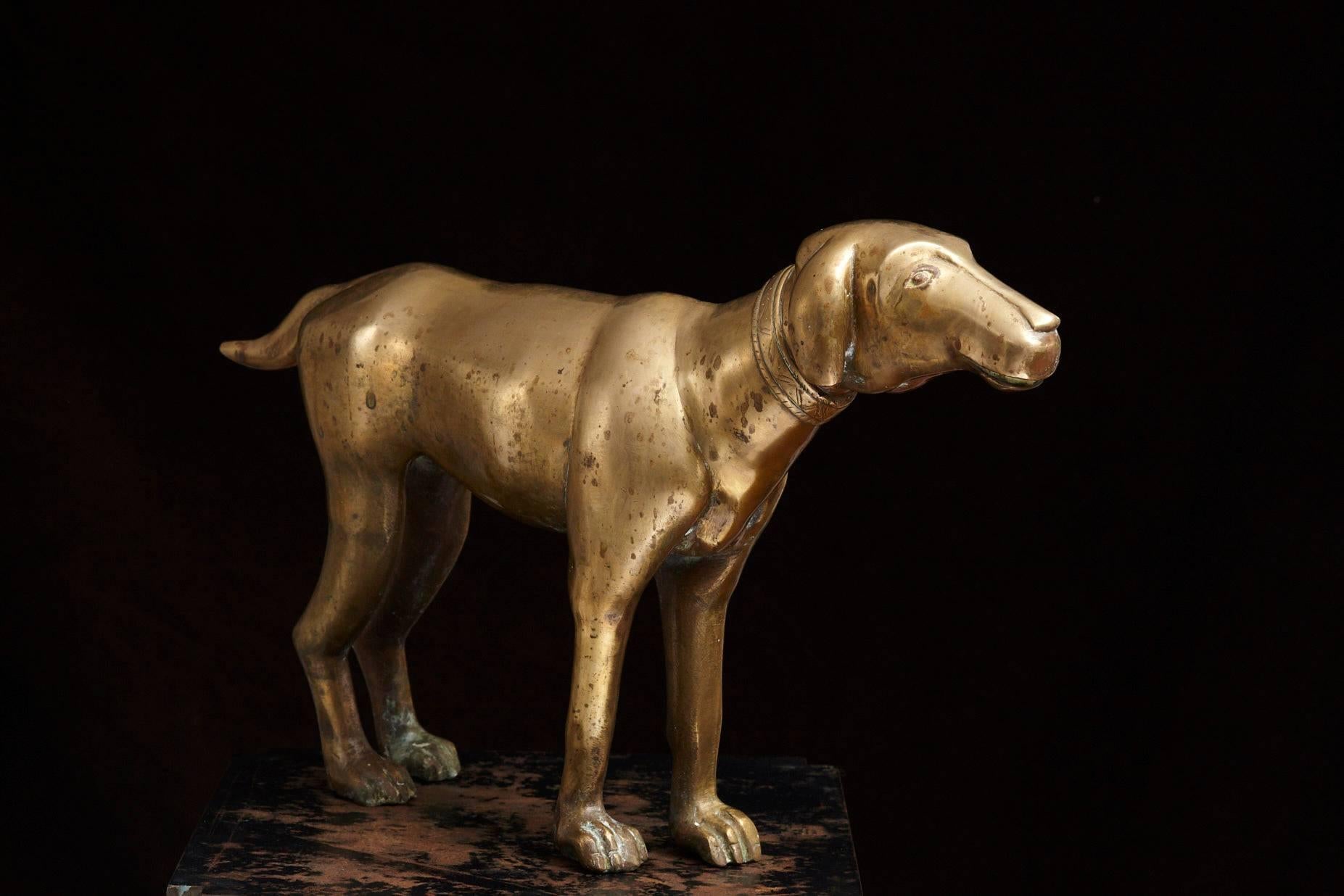 Large Standing Brass Pointer Hunting Dog Door Stop In Good Condition In Pau, FR