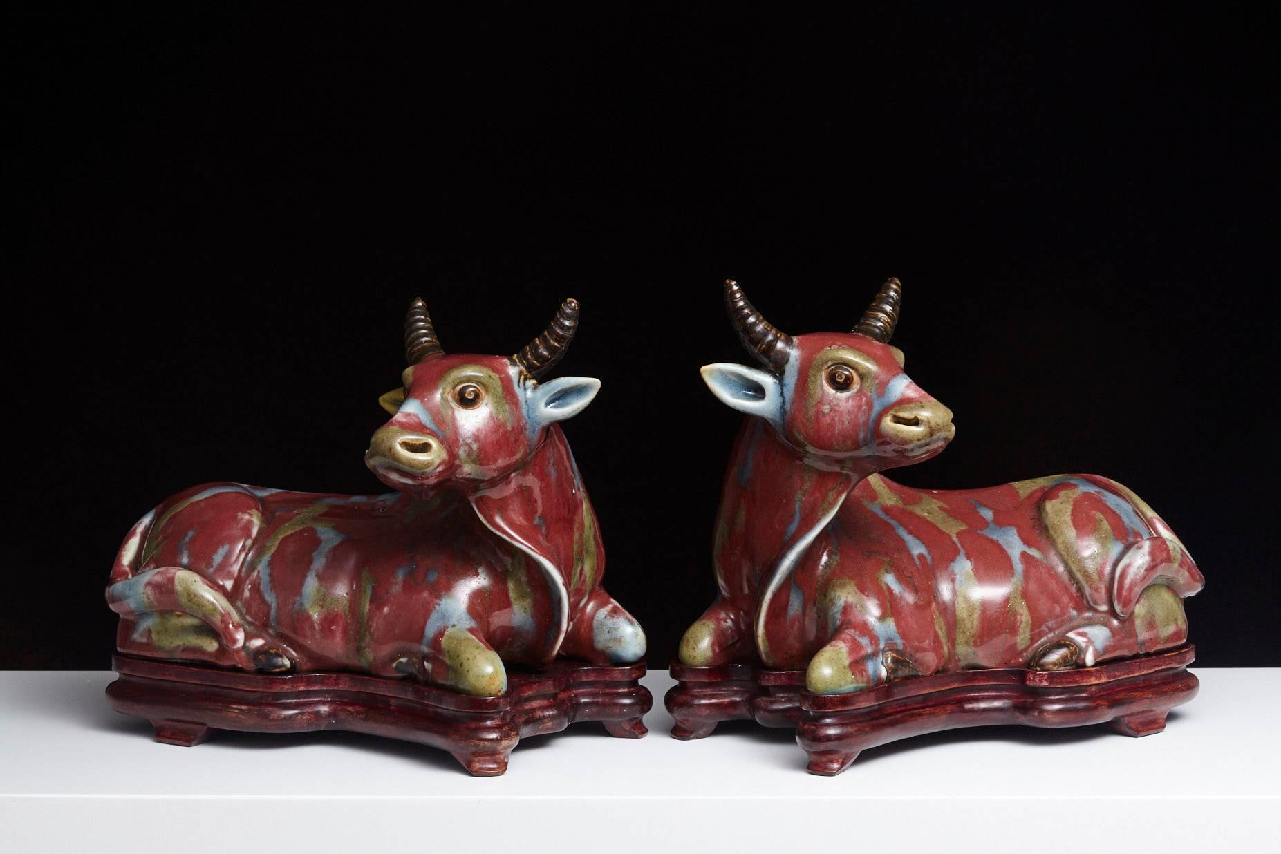 Beautiful pair of fine Chinese porcelain water buffalos with burgundy overglaze and olive green and blue markings, mounted on conforming rosewood stands.