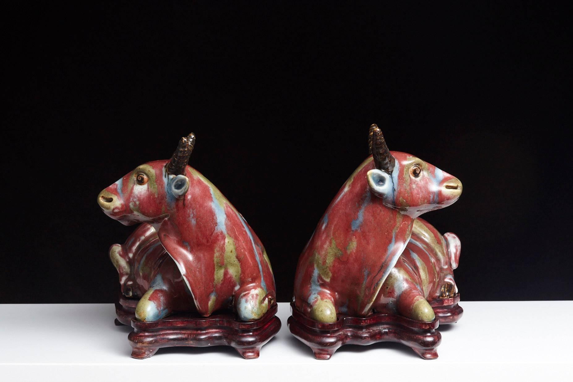 Pair of Chinese Porcelain Water Buffalos on Conforming Rosewood Stand In Excellent Condition In Pau, FR