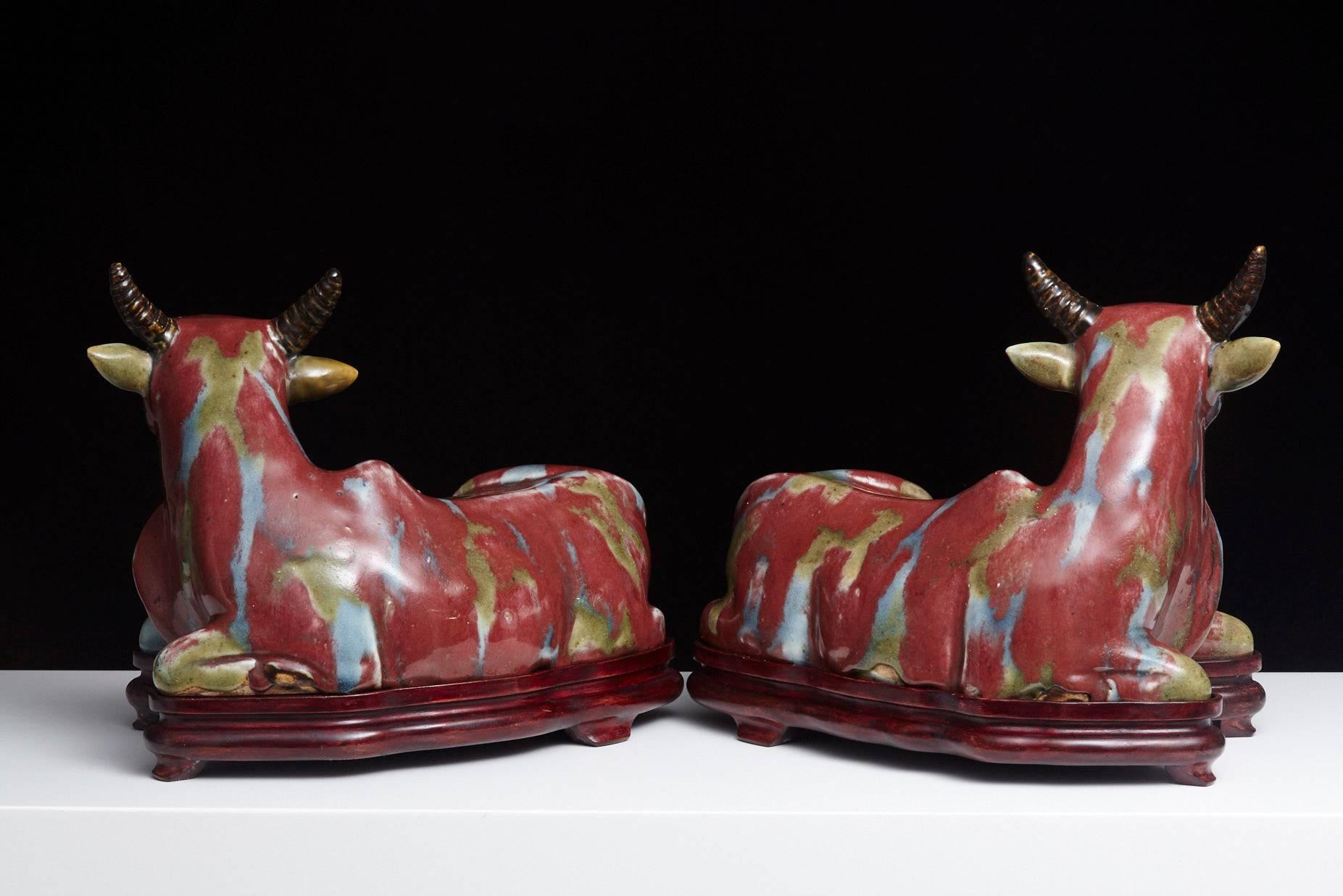 Mid-20th Century Pair of Chinese Porcelain Water Buffalos on Conforming Rosewood Stand