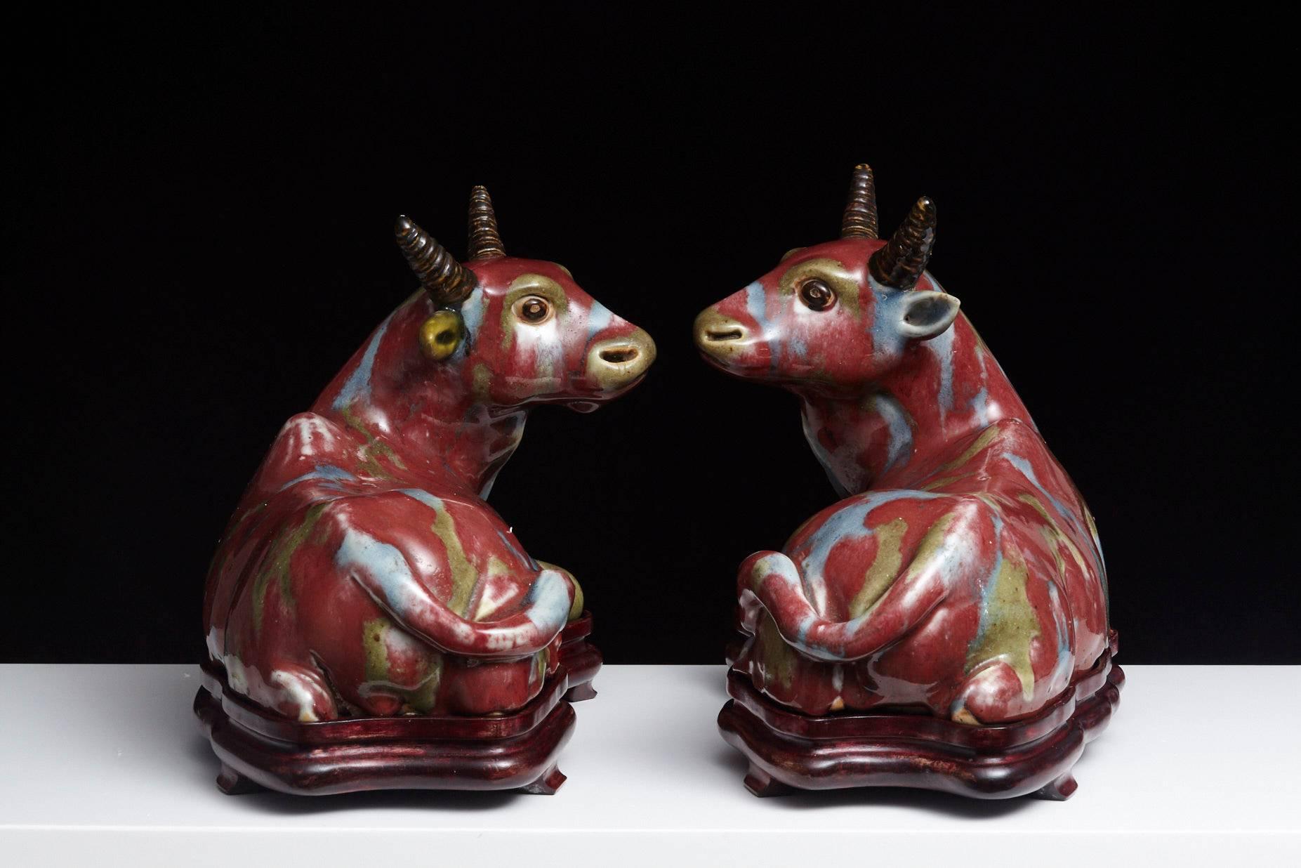 Pair of Chinese Porcelain Water Buffalos on Conforming Rosewood Stand 1