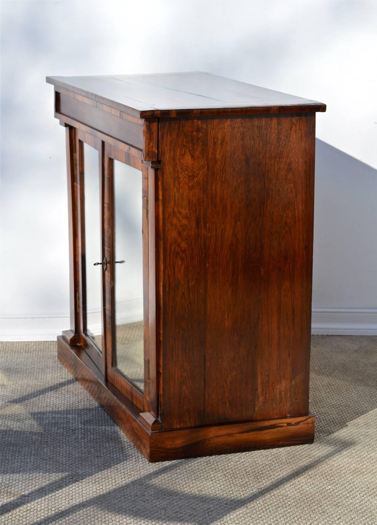 Regency Style Bar Cabinet of Rosewood  In Good Condition In Charlottesville, VA