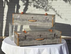 Travel Cases in Faux Crocodile Shagreen