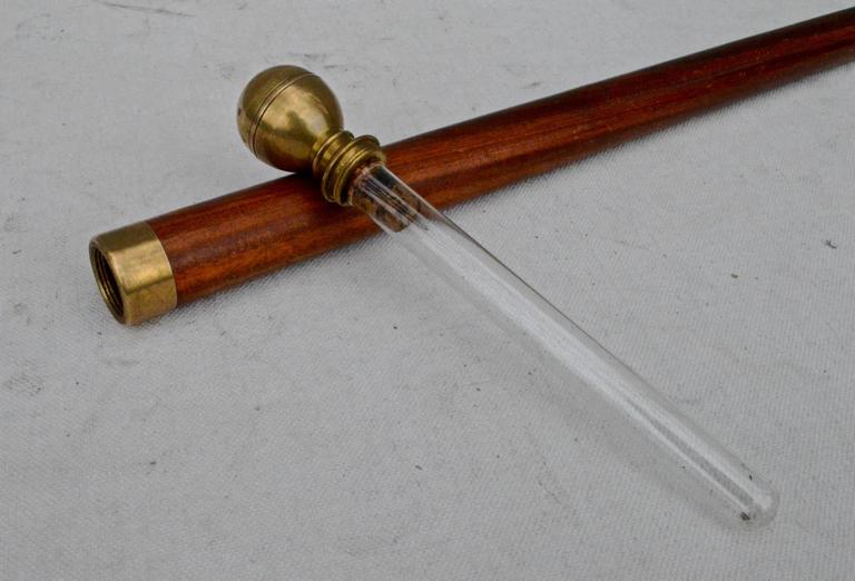 English Mahogany Cane with Hidden Flask at 1stdibs
