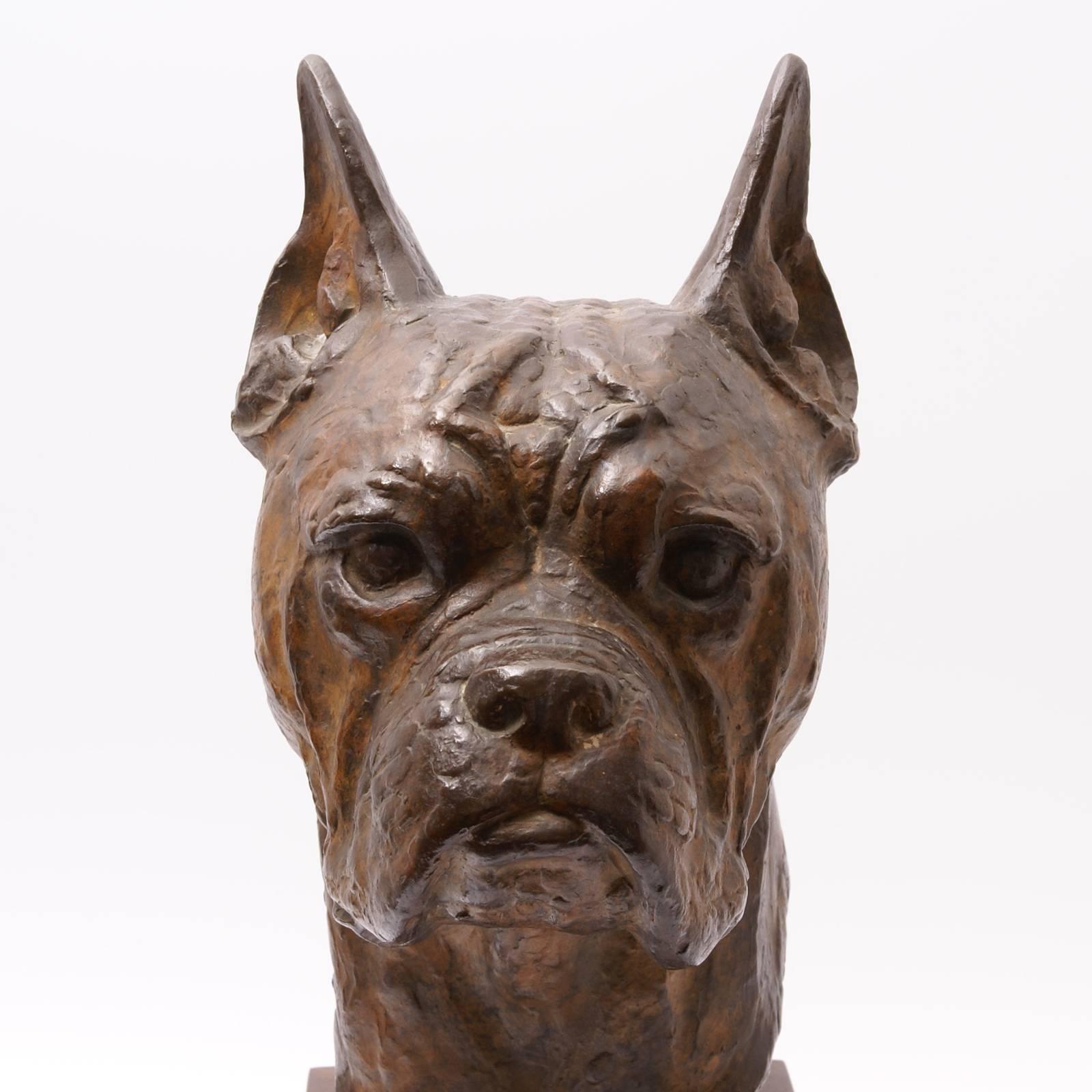 Brown patinated cire perdue bronze head of a Boxer by Pierre Blanc, cast by Pastori, on a wooden base; signed and dated 1946 (image 6); Pierre Blanc (1902-1908) was a contemporary of another great swiss sculptor: Edouard Marcel Sandoz; Pastori was