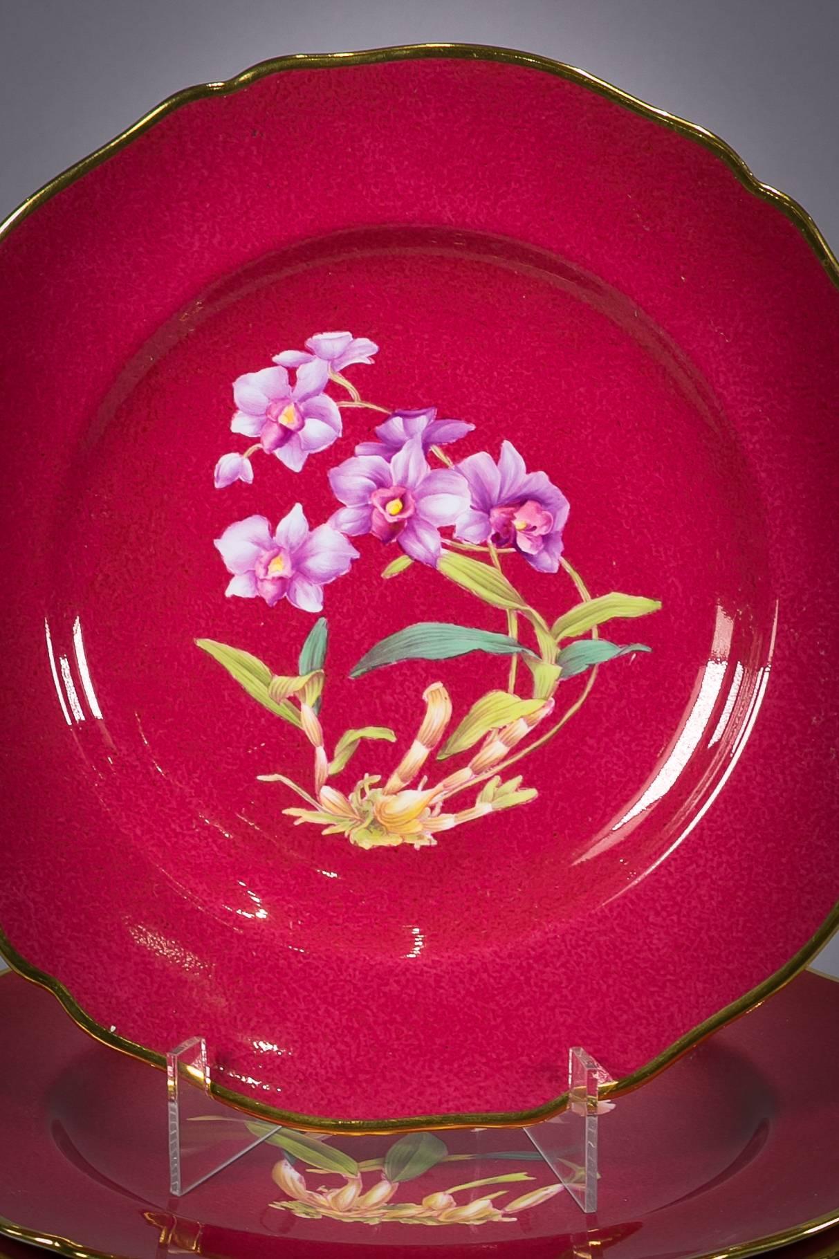 Set of 12 English porcelain botanical plates, Spode, circa 1900.