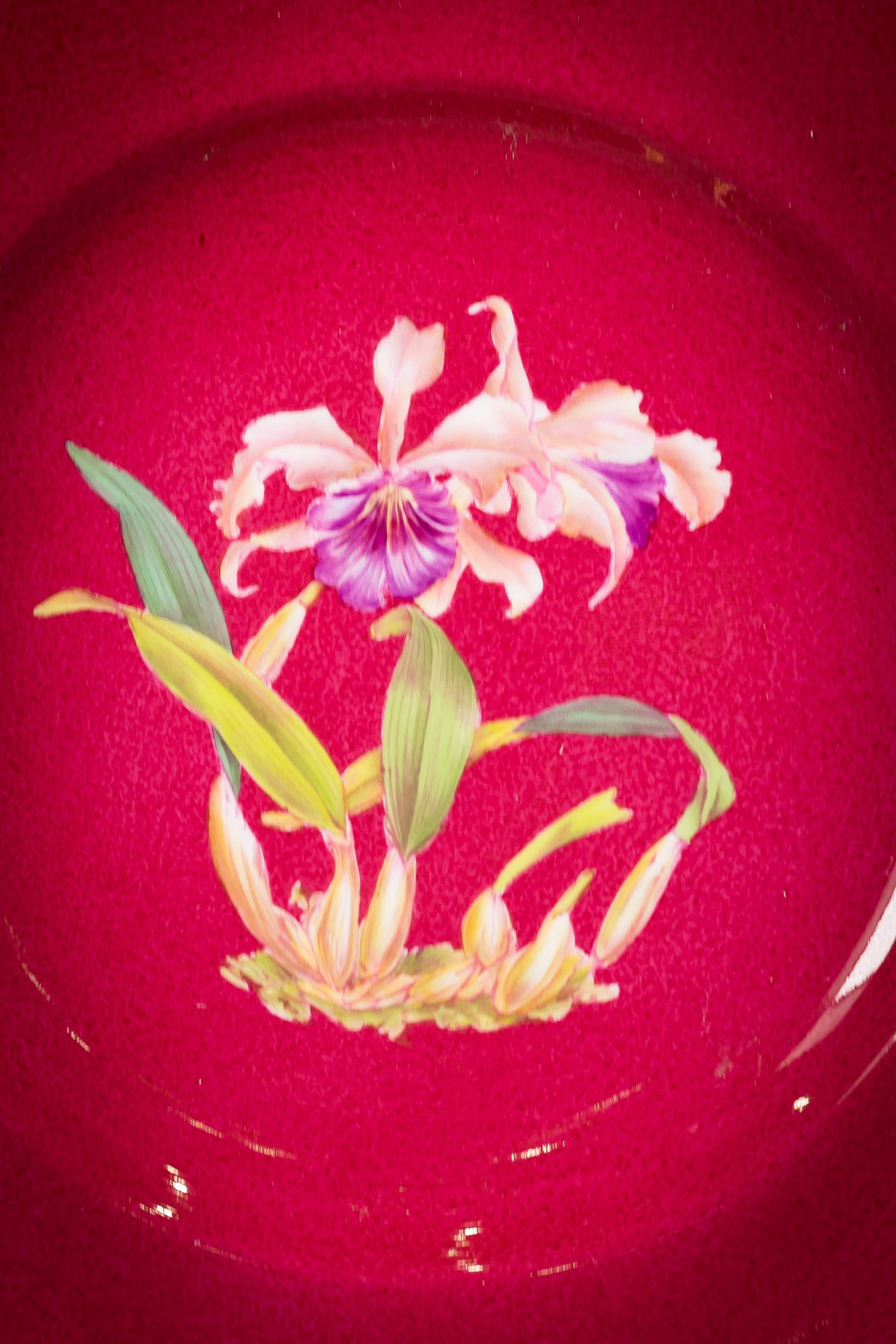 Ensemble de 12 assiettes botaniques en porcelaine anglaise, Spode, vers 1900 Excellent état - En vente à New York, NY