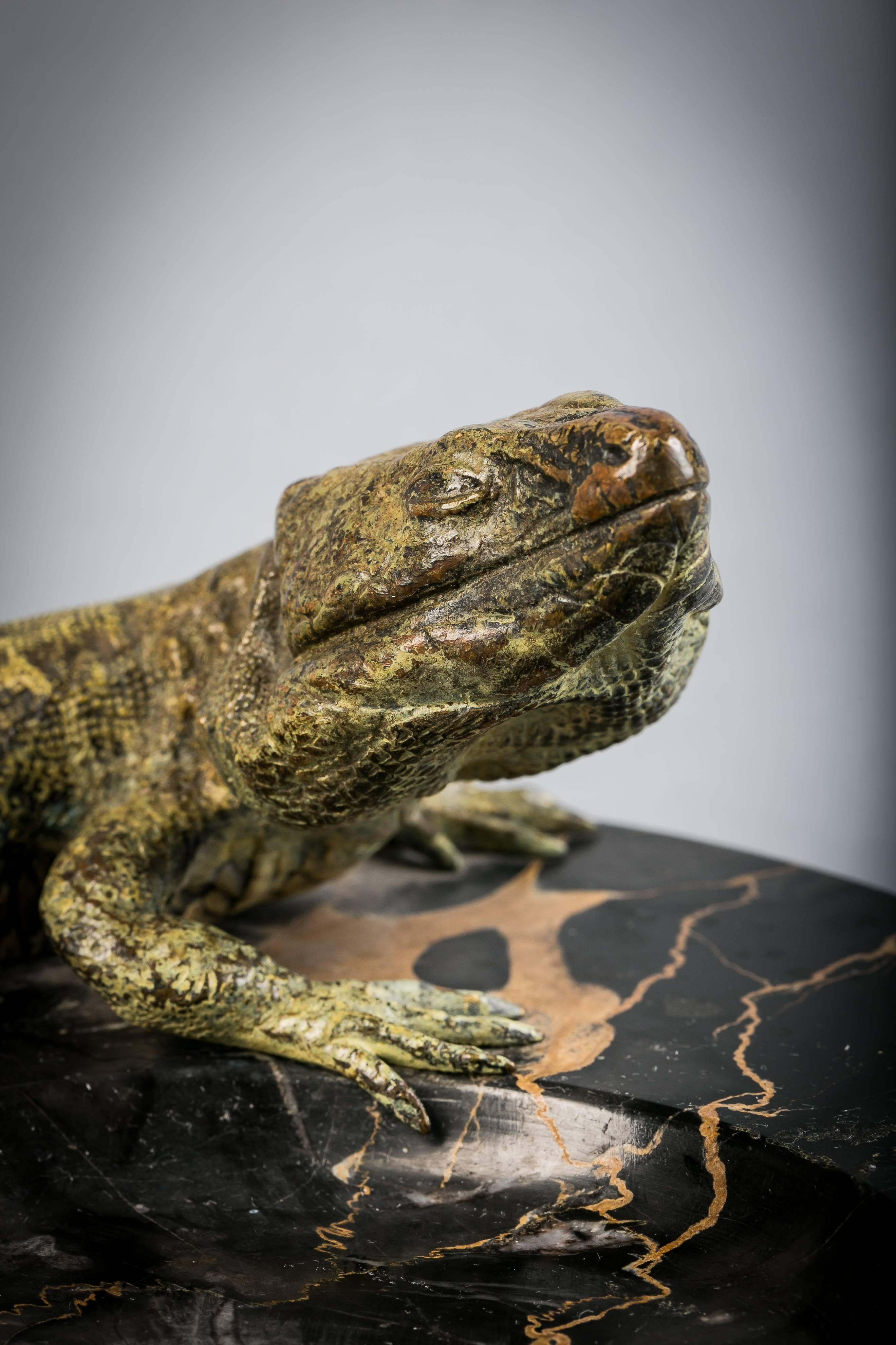 Vienna bronze and marble iguana coupe, circa 1880.

Cold painted bronze.