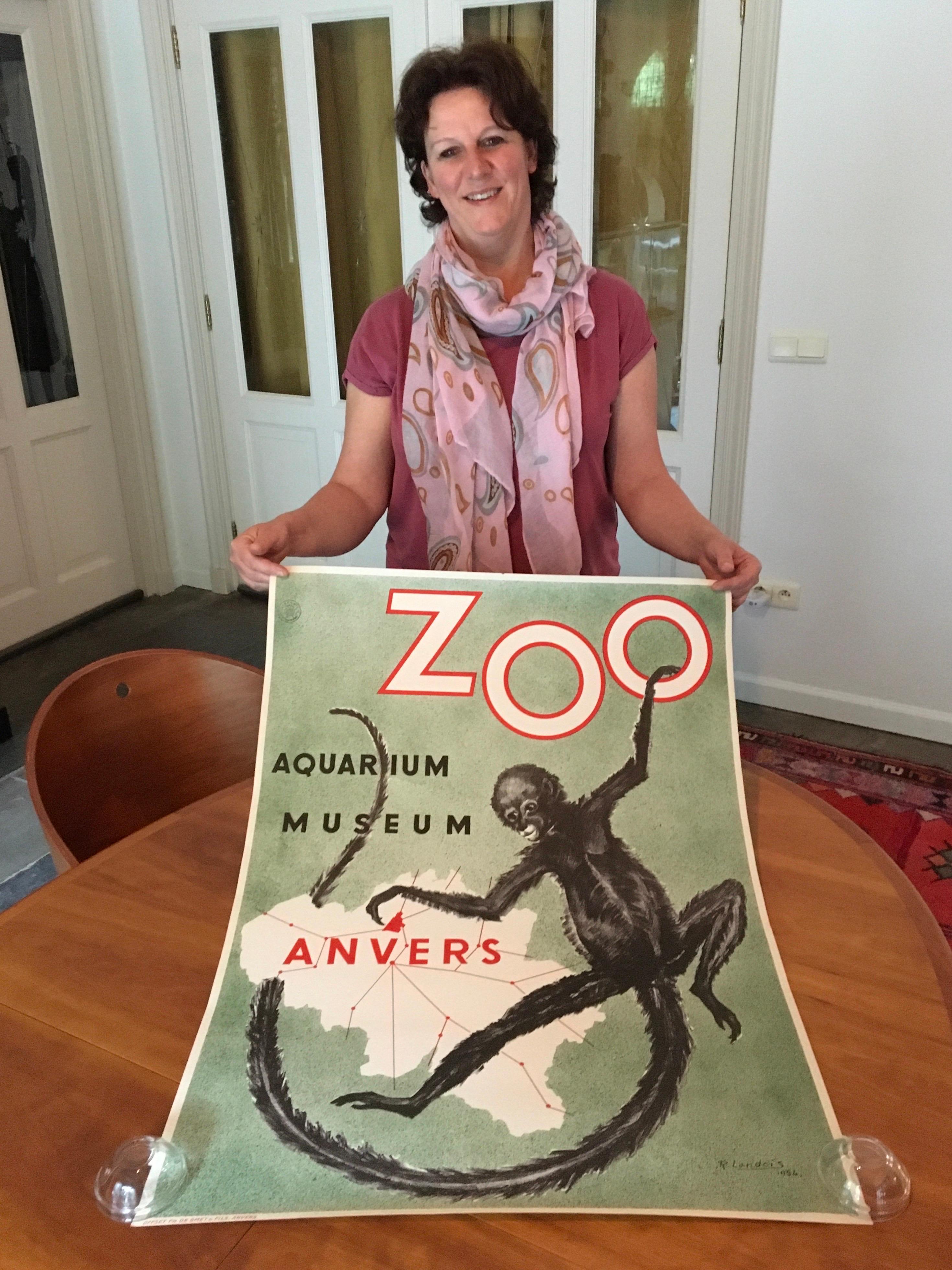 Zoo Antwerp affiche with Monkey - 1954. 
A Mid-20th Century Poster - Affiche - Litho Offset for the Zoo of Antwerp. 
Beautiful design by R.Landois : 
A green colored poster with a spider monkey - at , 
designed for the promotion of the Aquarium