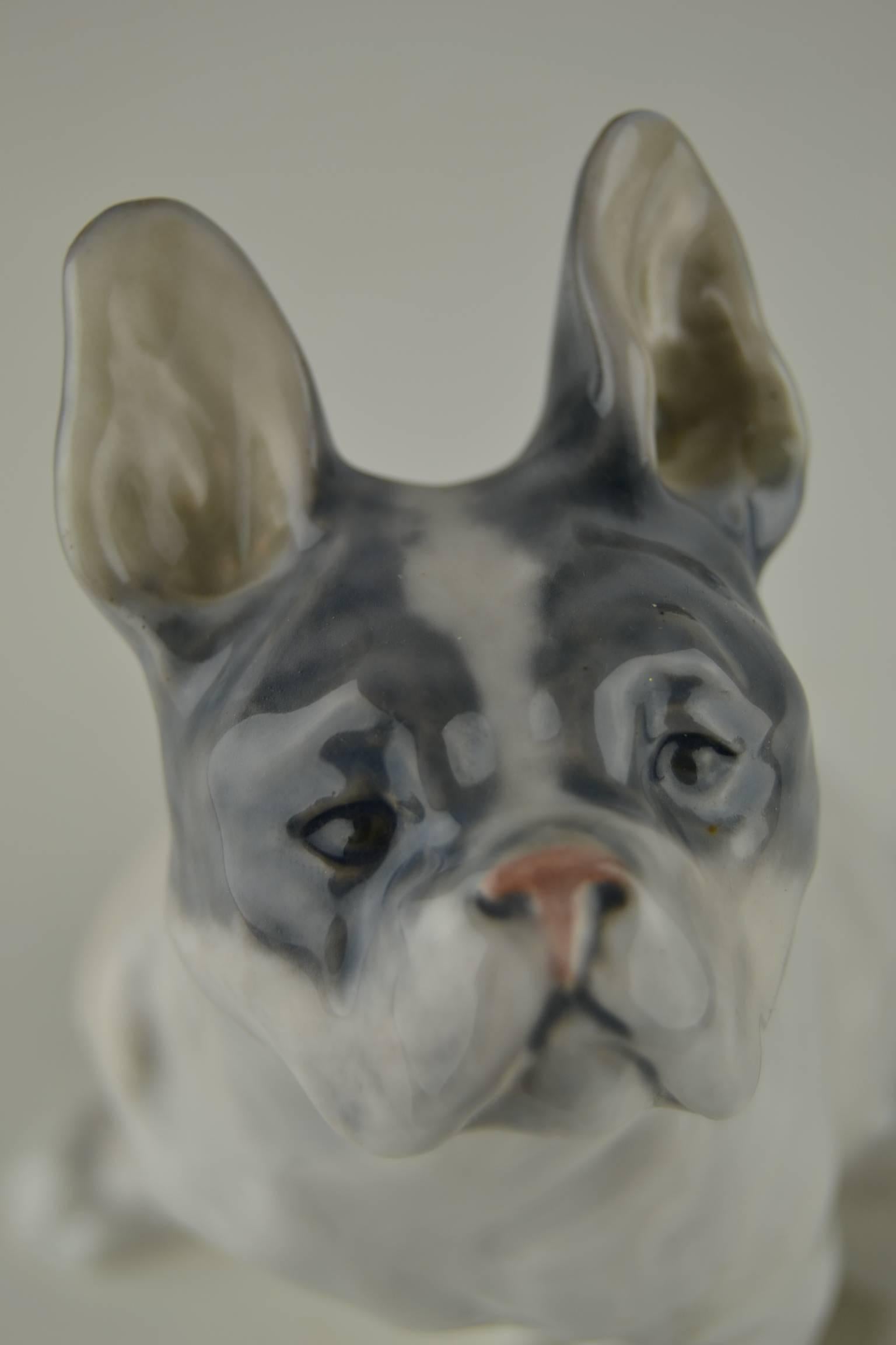 Very rare Royal Copenhagen Porcelain French Bulldog designed by Knud Kyhn - Number 1452/956 - Mint condition - Collectable item