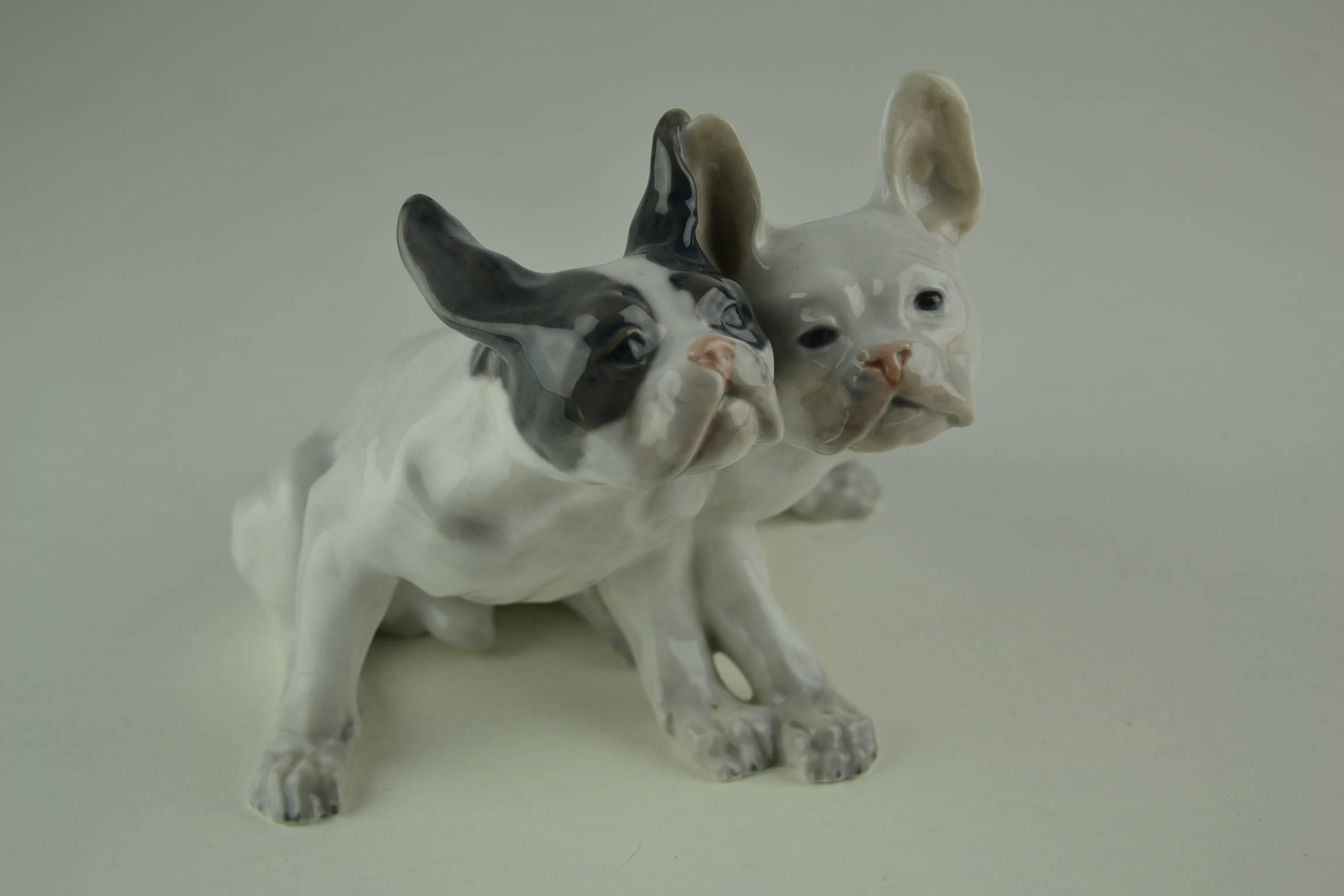 Pair of French Bullies, French bulldogs designed by Knud Kyhn in 1908 and made by porcelain Royal Copenhagen, Denmark with number 1452 / 957. 

Stunning animal figure of cute French bulldog puppies sitting together.

For collector of antique