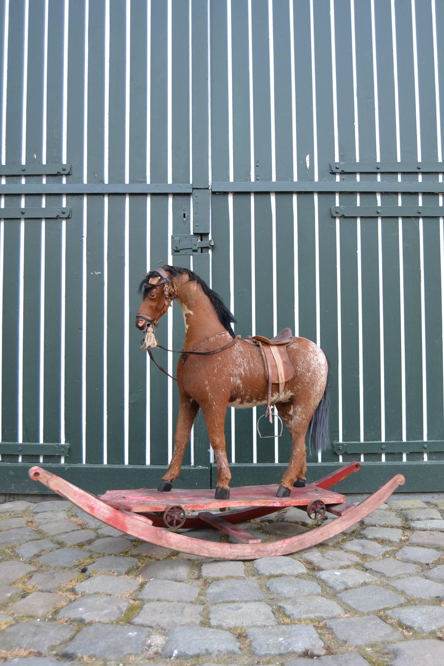 Antique toy horse from the early 20th century.
Horse has glass eyes, wooden legs, metal bit, real horsehair, real skin, leather halter, stirrups and saddle and is stuffed with straw.

You can remove the horse of the swing and use it separately on