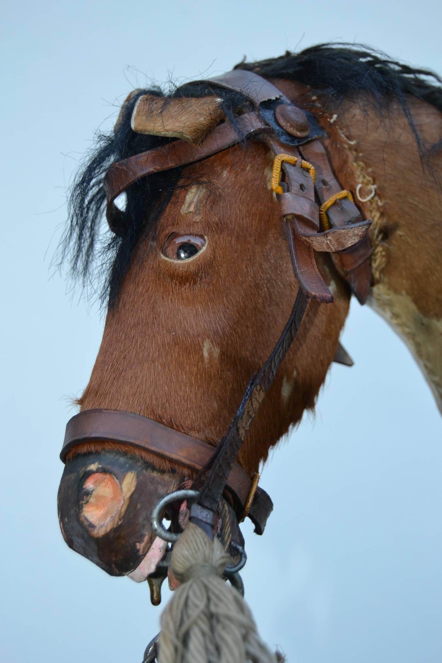 20ième siècle Cheval à bascule du début du 20e siècle avec poils et peau véritables