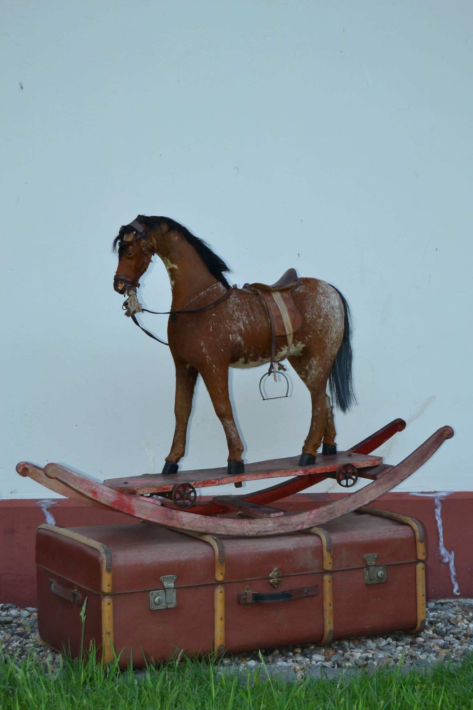 Early 20th Century Rocking Horse with Real Hair and Skin In Good Condition In Antwerp, BE