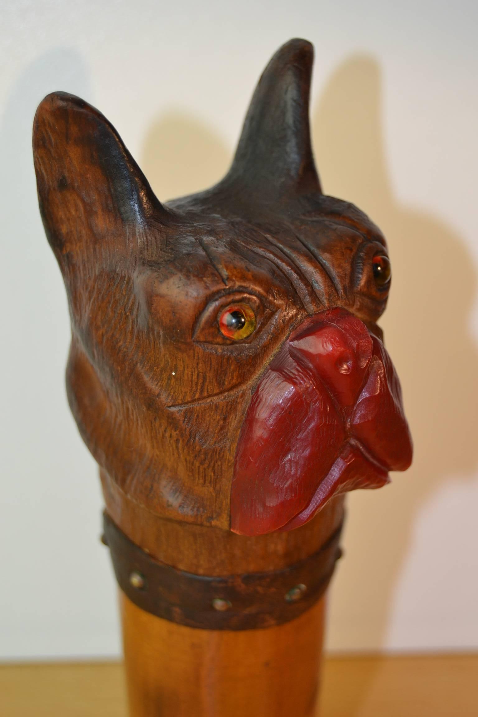 Tête de bouledogue unique en bois sculpté pour manche de canne antique.
Sculpture figurative de chien en bois ancien de style Folk Art du début du 20ème siècle. 
Nez en bakélite rouge, yeux en verre et collier en cuir avec clous en