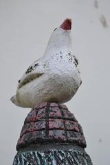 Spectacular Concrete Birdcage