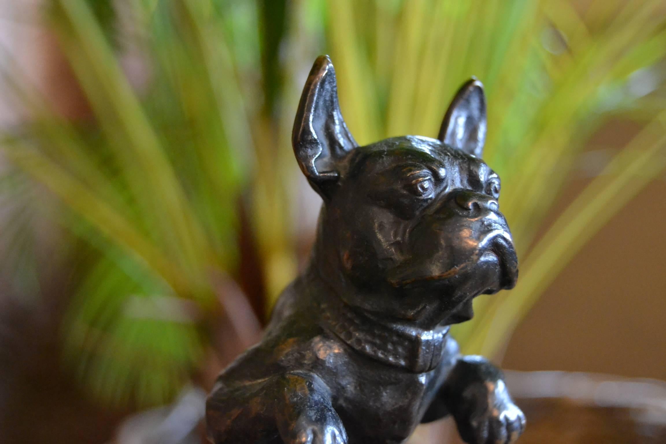 French bulldog statue - mascotte - desk accessory
Very detailed big male bronze dog figurine on black marble base.
This was probably a hood ornament given as a present for a prestigious event or company.