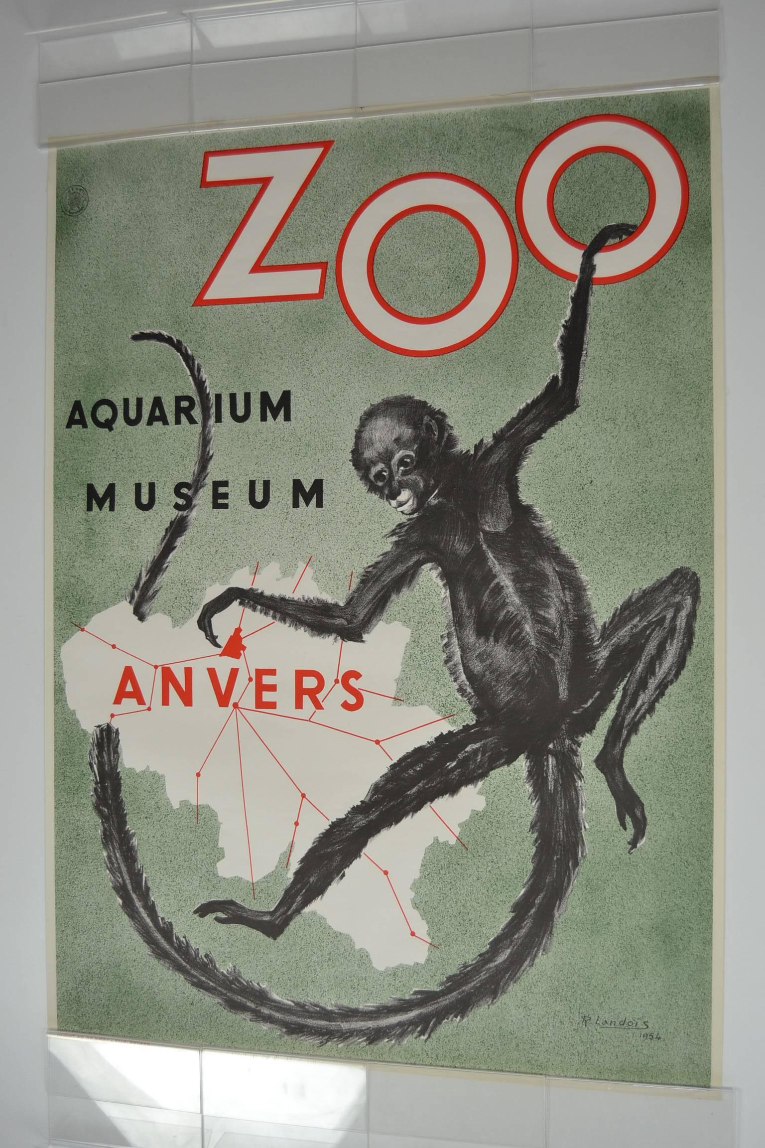 Zoo Antwerp Affiche with Monkey by R.Landois , 1954, Belgium 2