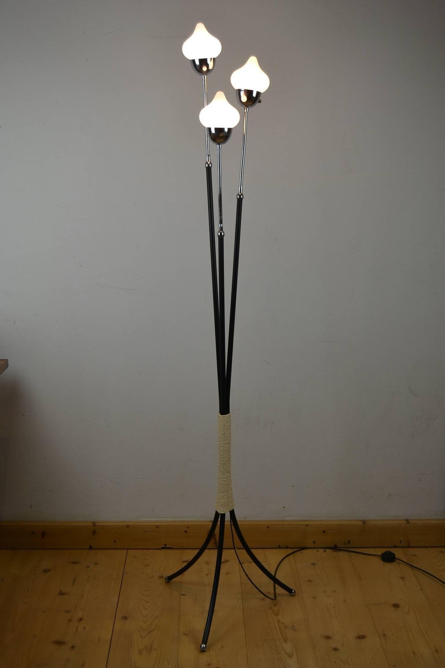 flexible lamp arms
