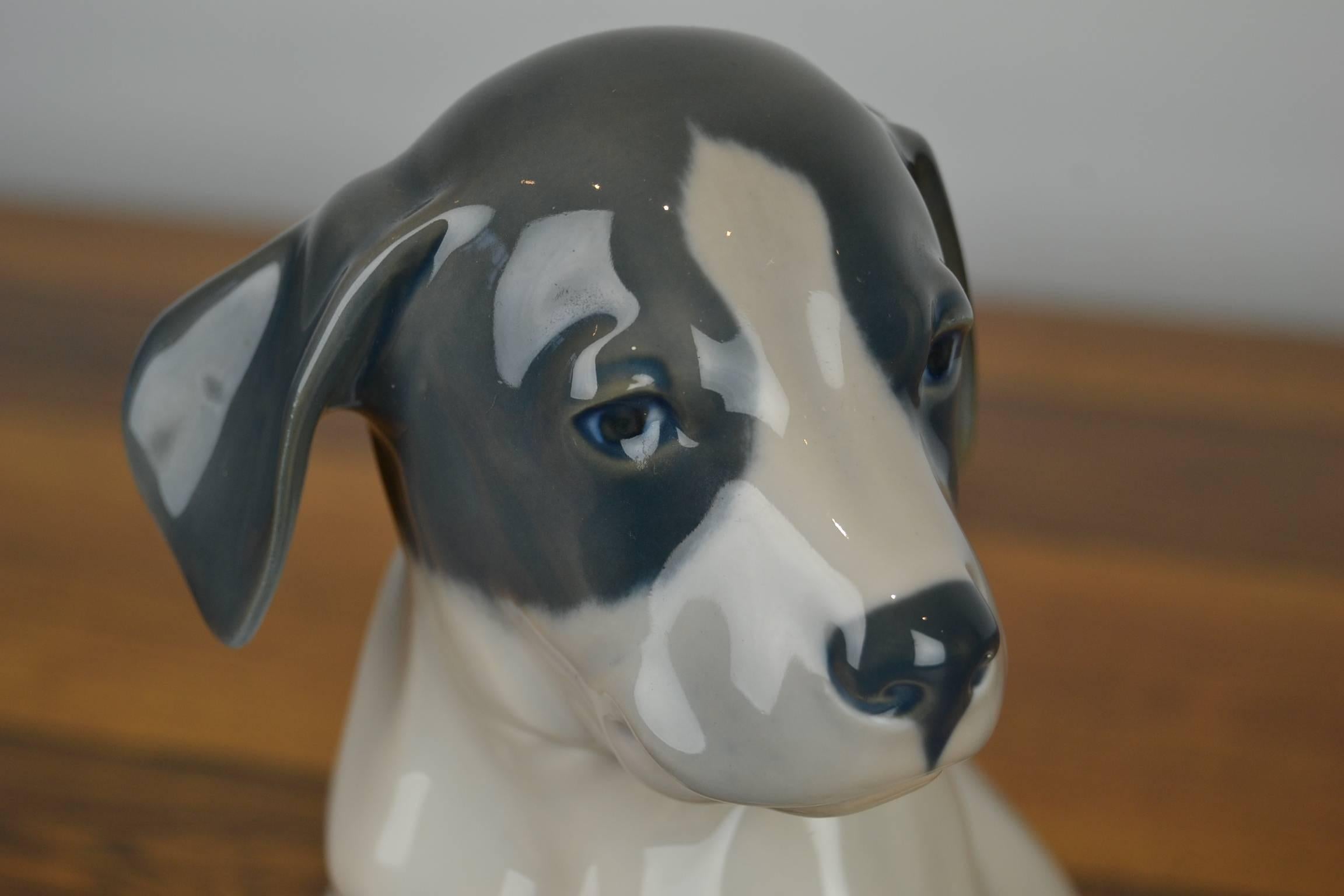 20th Century Royal Copenhagen Porcelain Pointer Puppy Dog by Erik Nielsen , Denmark , 1960s