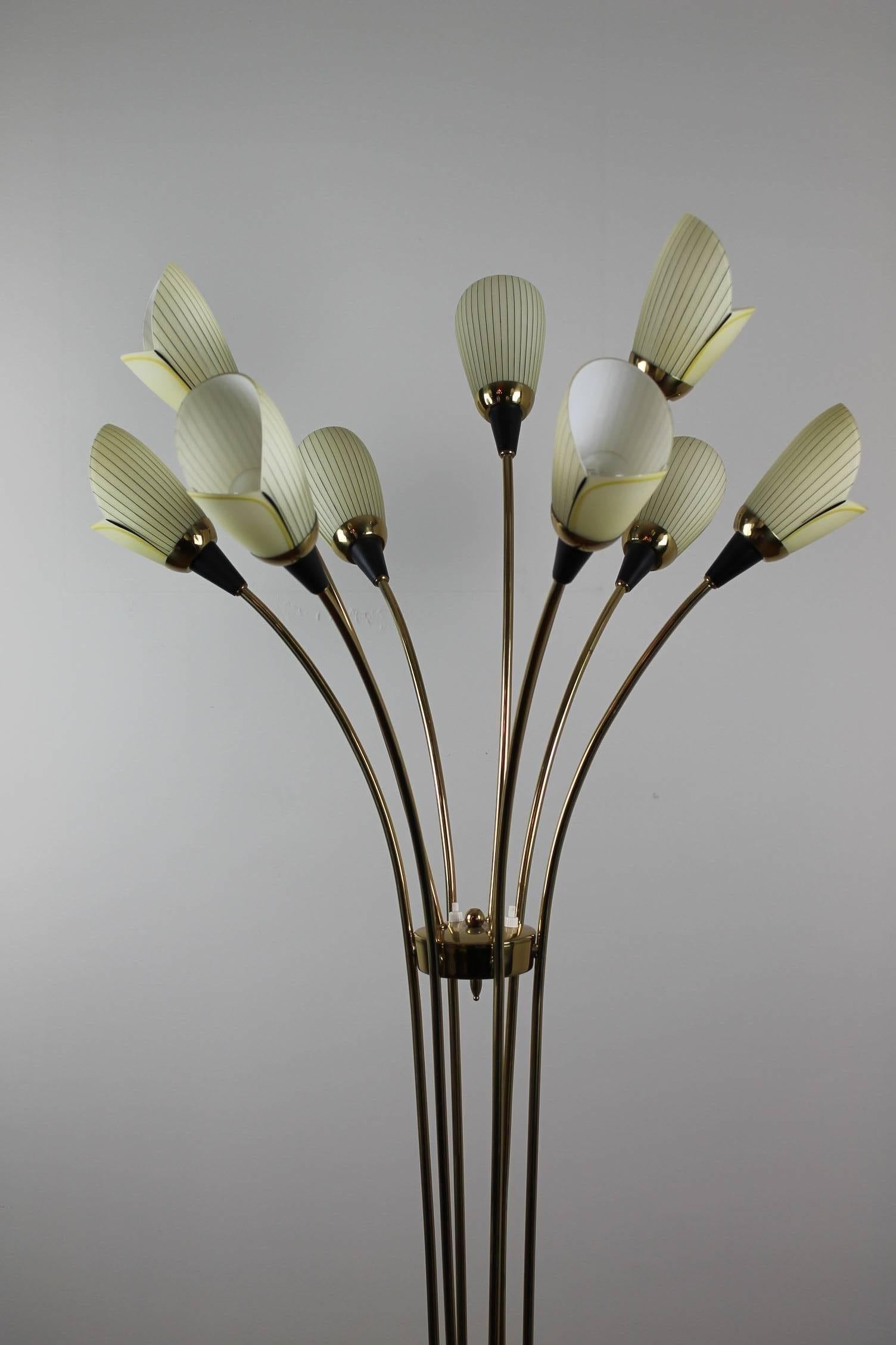 20th Century 1960s Brass Floor Lamp with Nine Opaline Glass Tulip Flowers by Massive Belgium