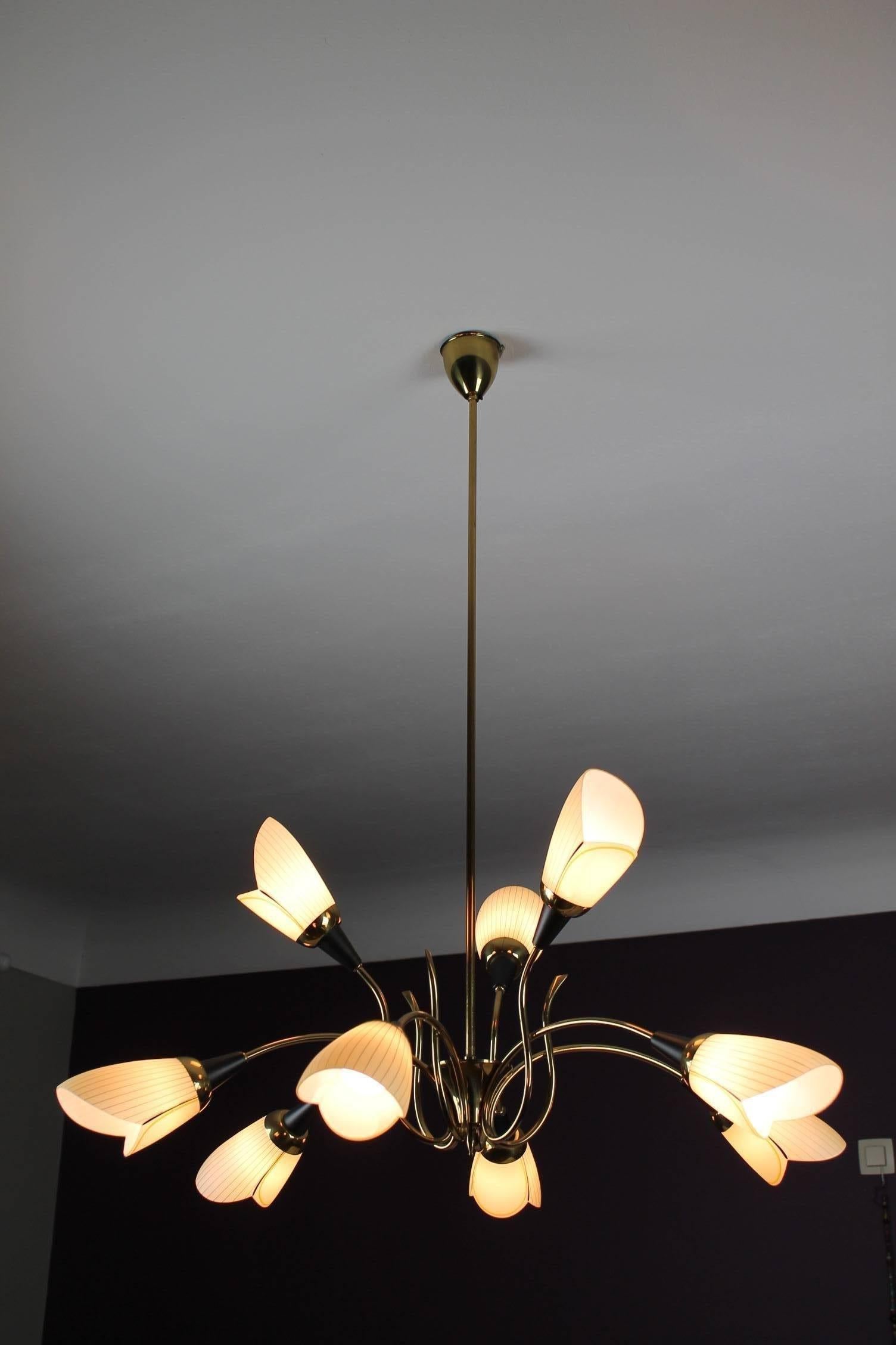 Hand-Painted Brass Chandelier with Opaline Glass Tulip Shades by Lustrerie Massive, 1960s