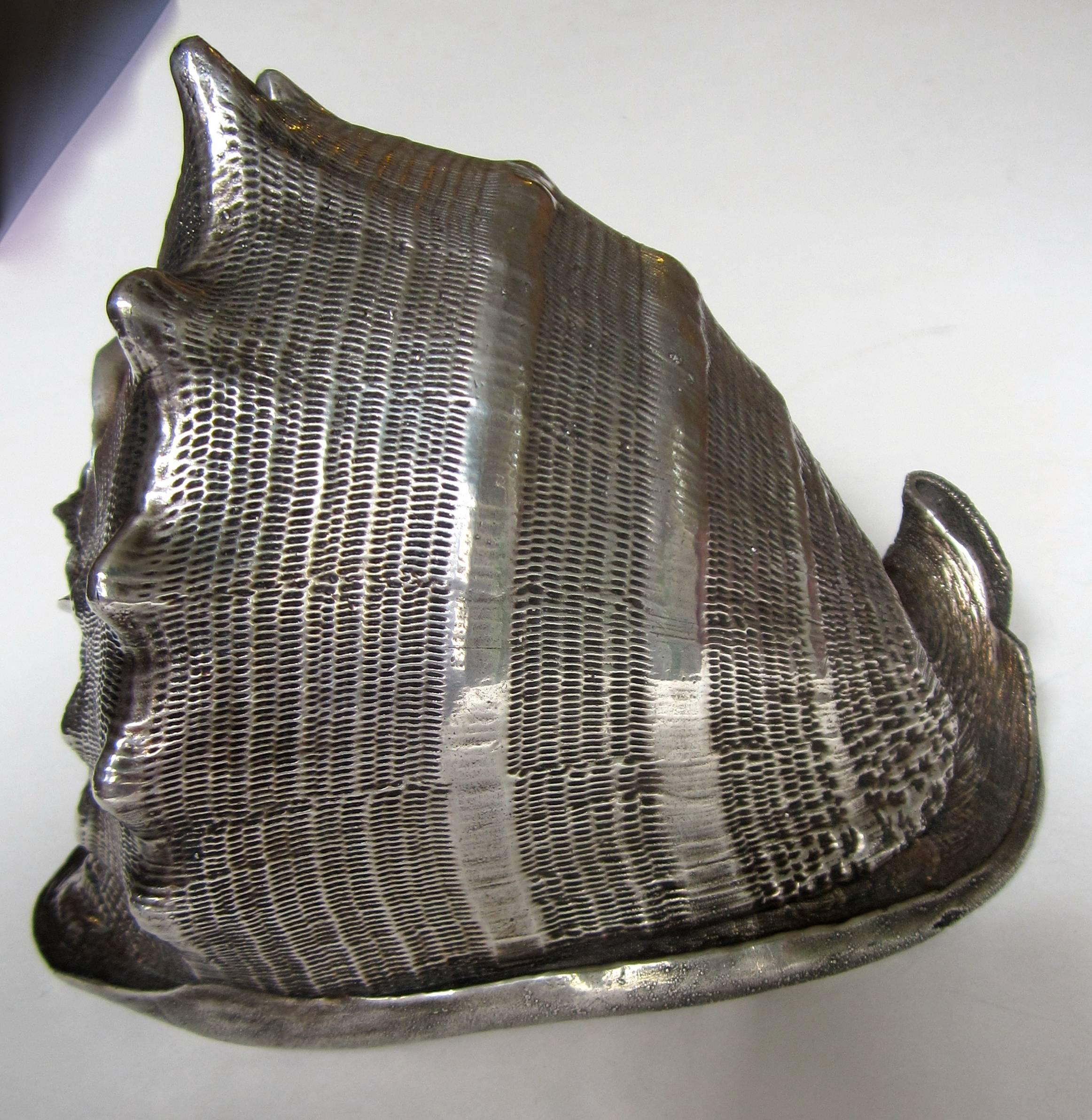 Covered Shell Silver Covered Shell at 1stDibs