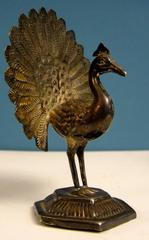 Small Indian Silver Peacock