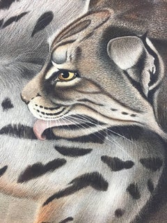 Framed 1st Ed. "Texan Lynx, " Hand-Colored Lithograph by John James Audubon, 1846