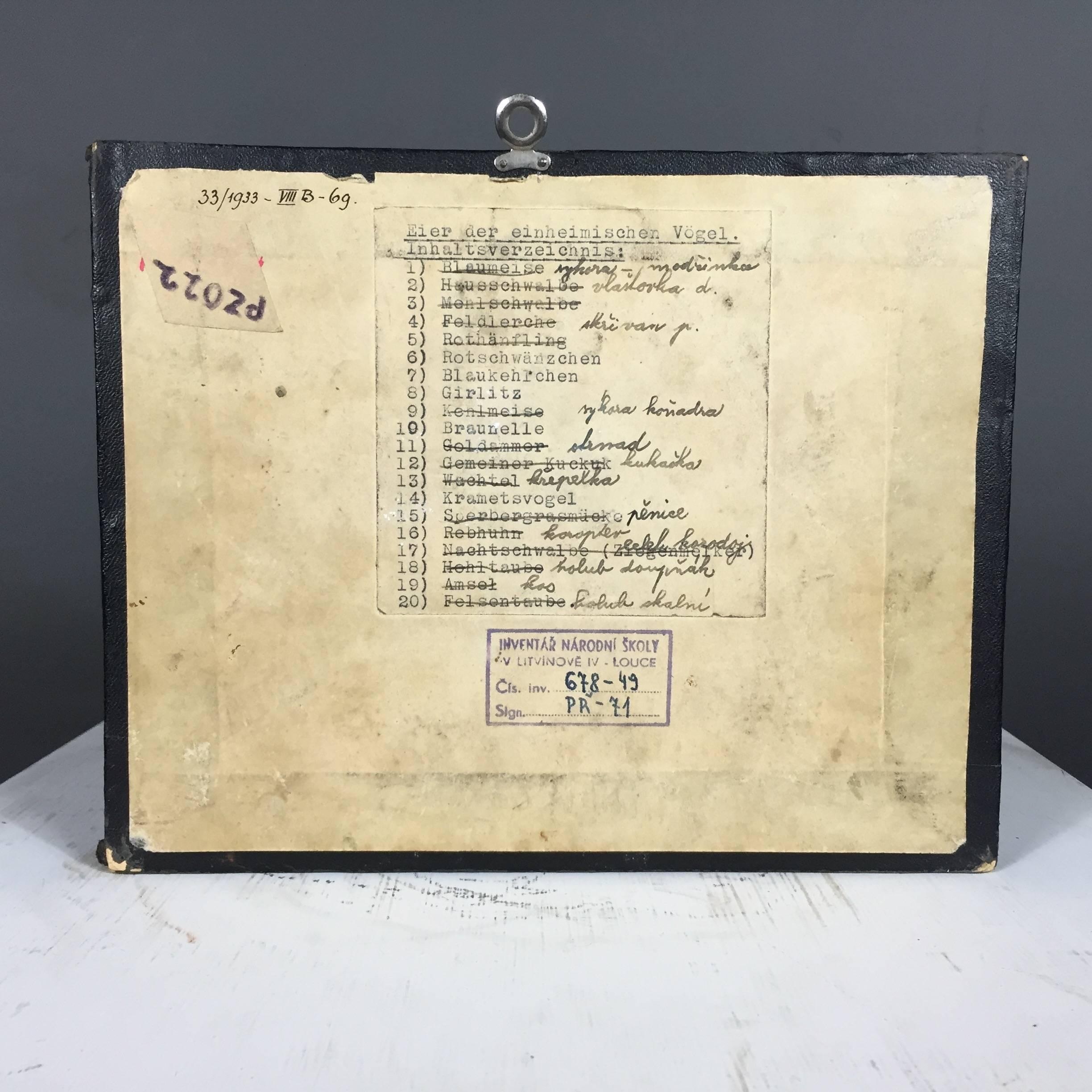Mid-20th Century 1933 Dated German Native Bird Egg Collection