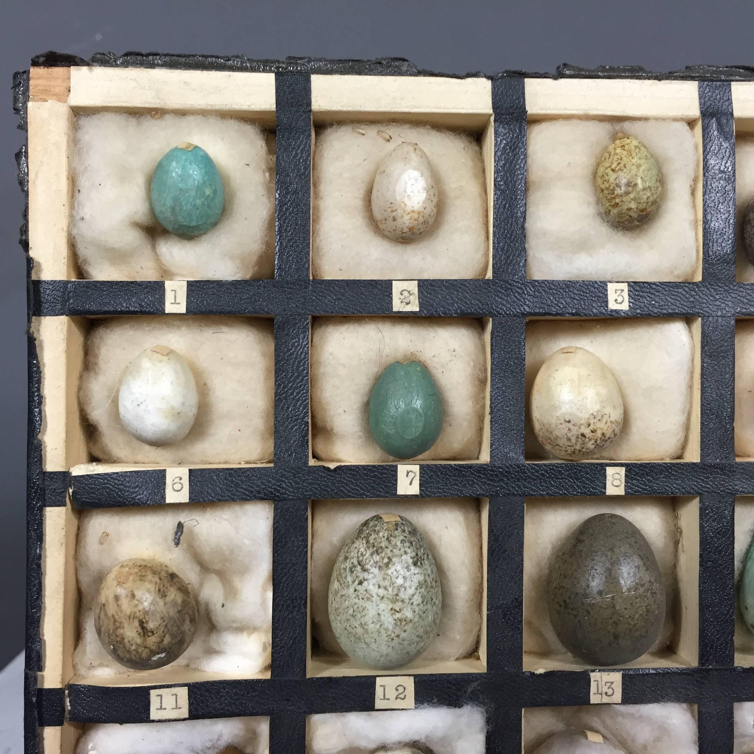 A rare collection of bird eggs from German schoolhouse, containing 20 eggs, numbered and identified on back (with handwritten revisions). Eggs are wax coated and attached to underlying cotton padding. Stamped with date 1933 and titled 