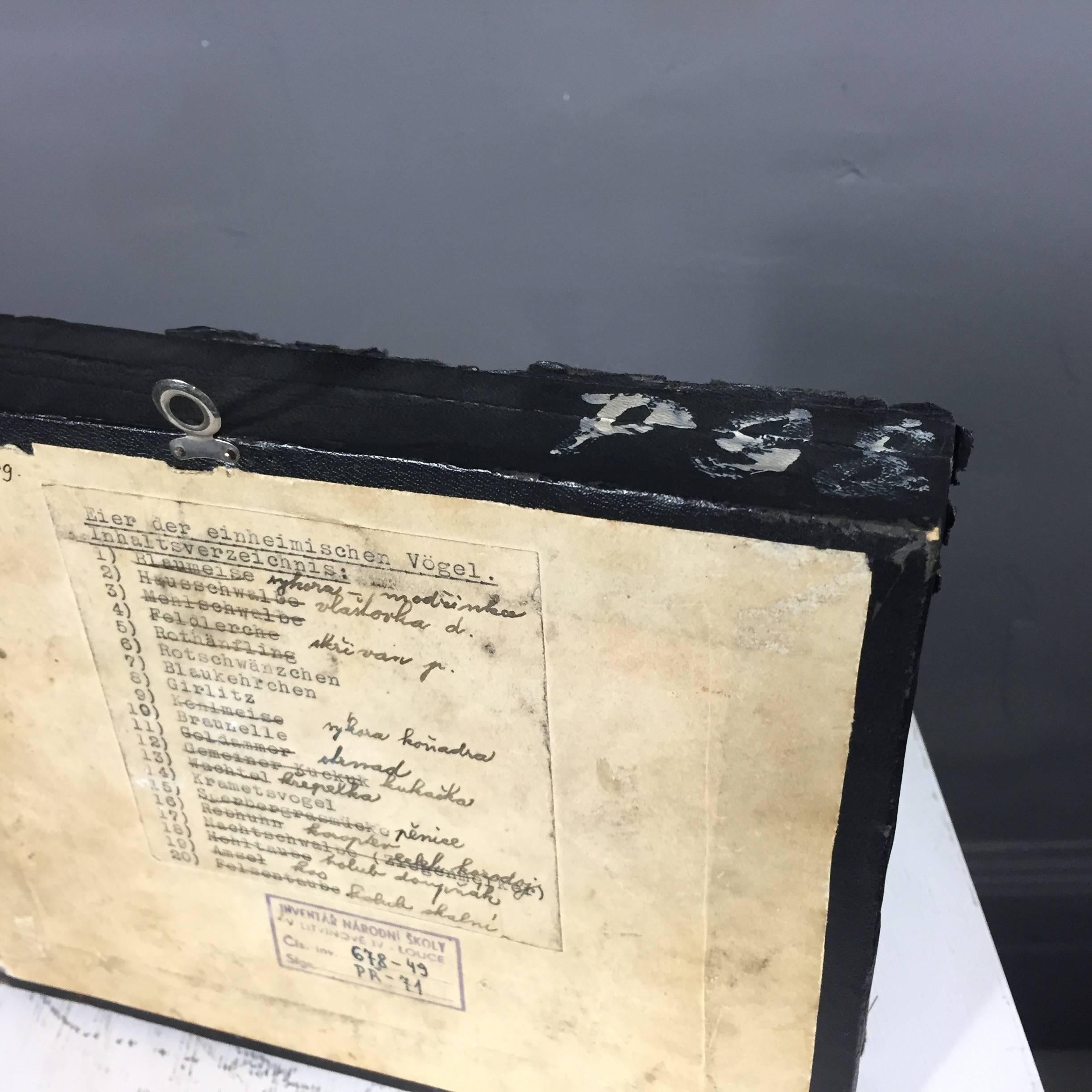 1933 Dated German Native Bird Egg Collection 1