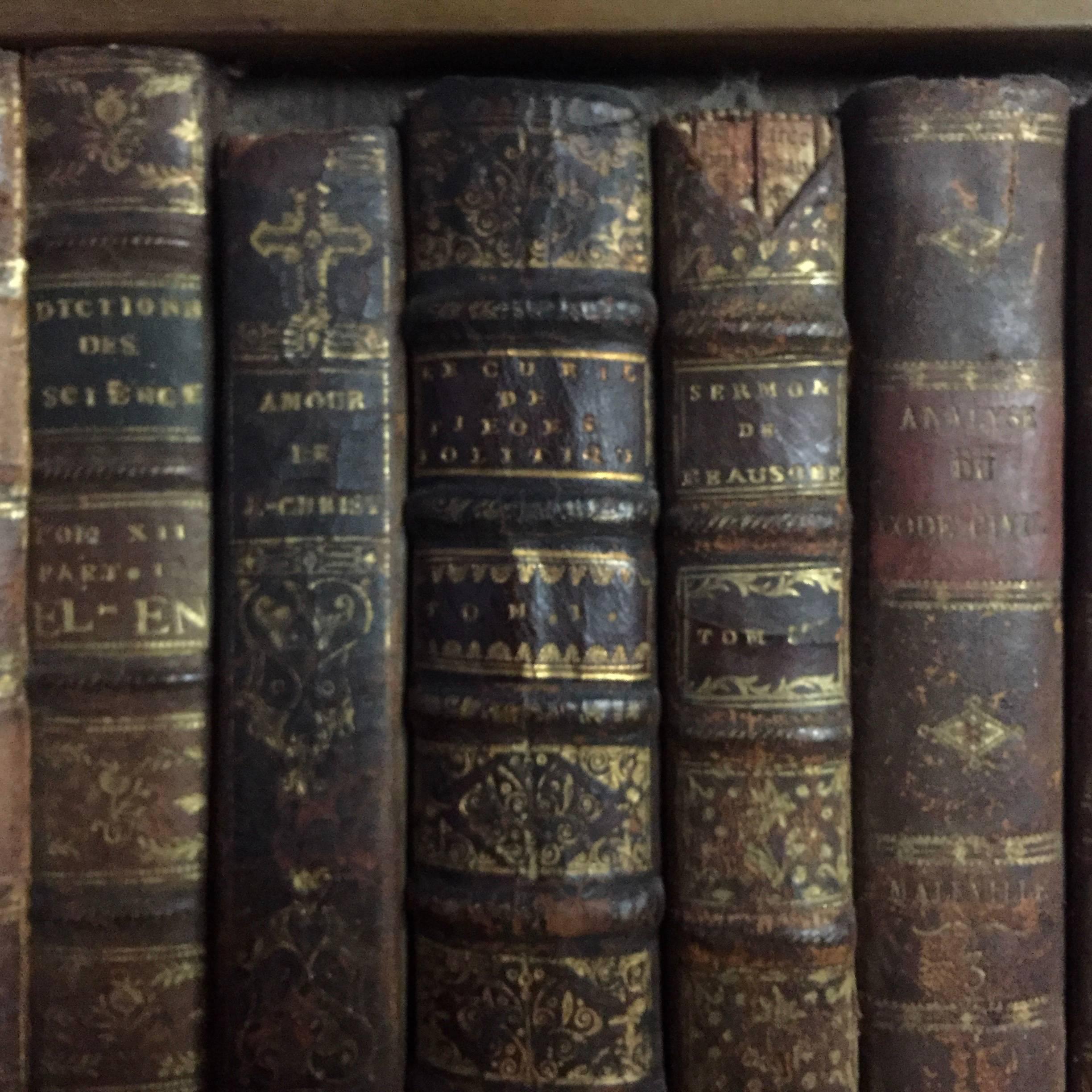 Late 19th Century Panels of 18th Century French Bookbinds For Sale 4