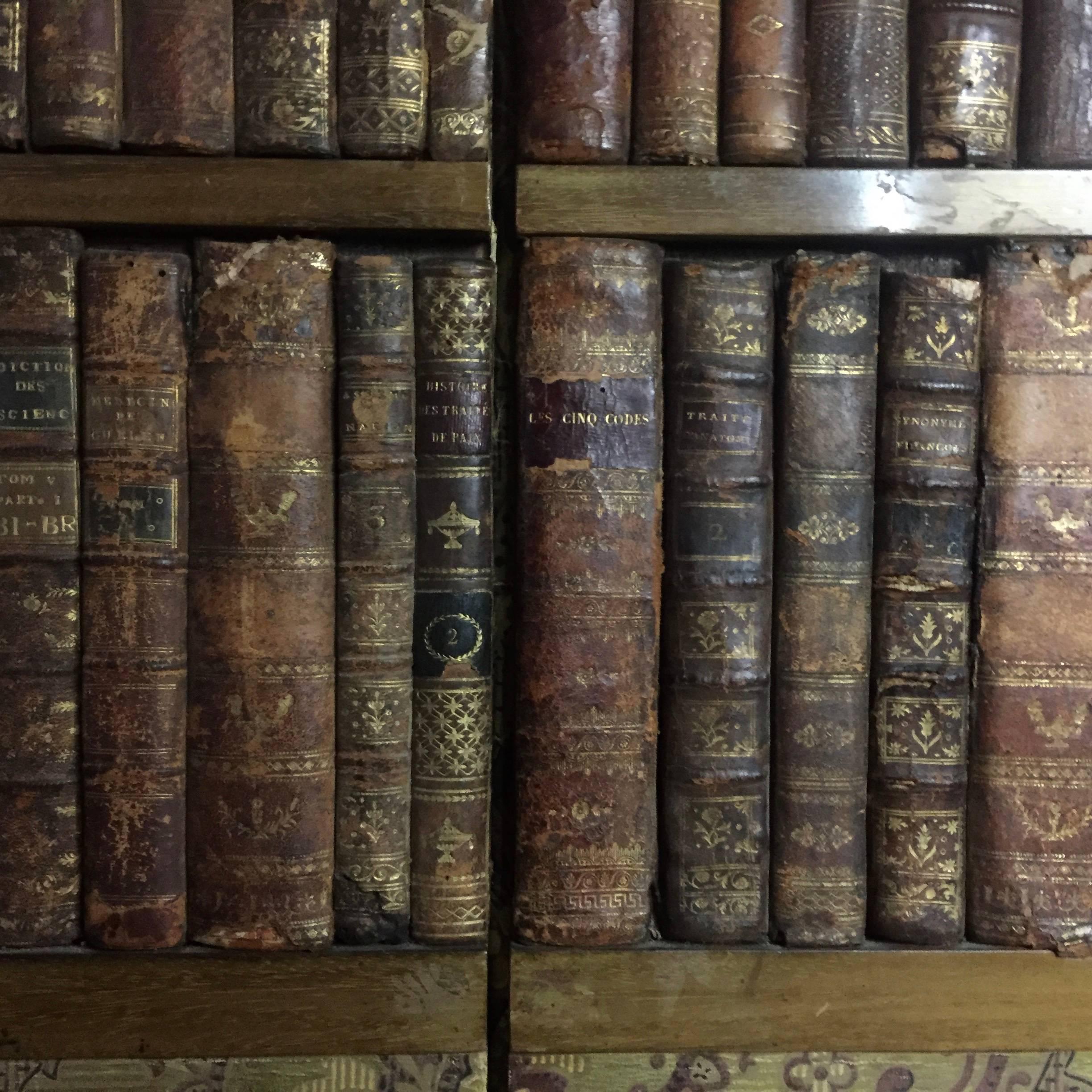 Late 19th Century Panels of 18th Century French Bookbinds For Sale 2