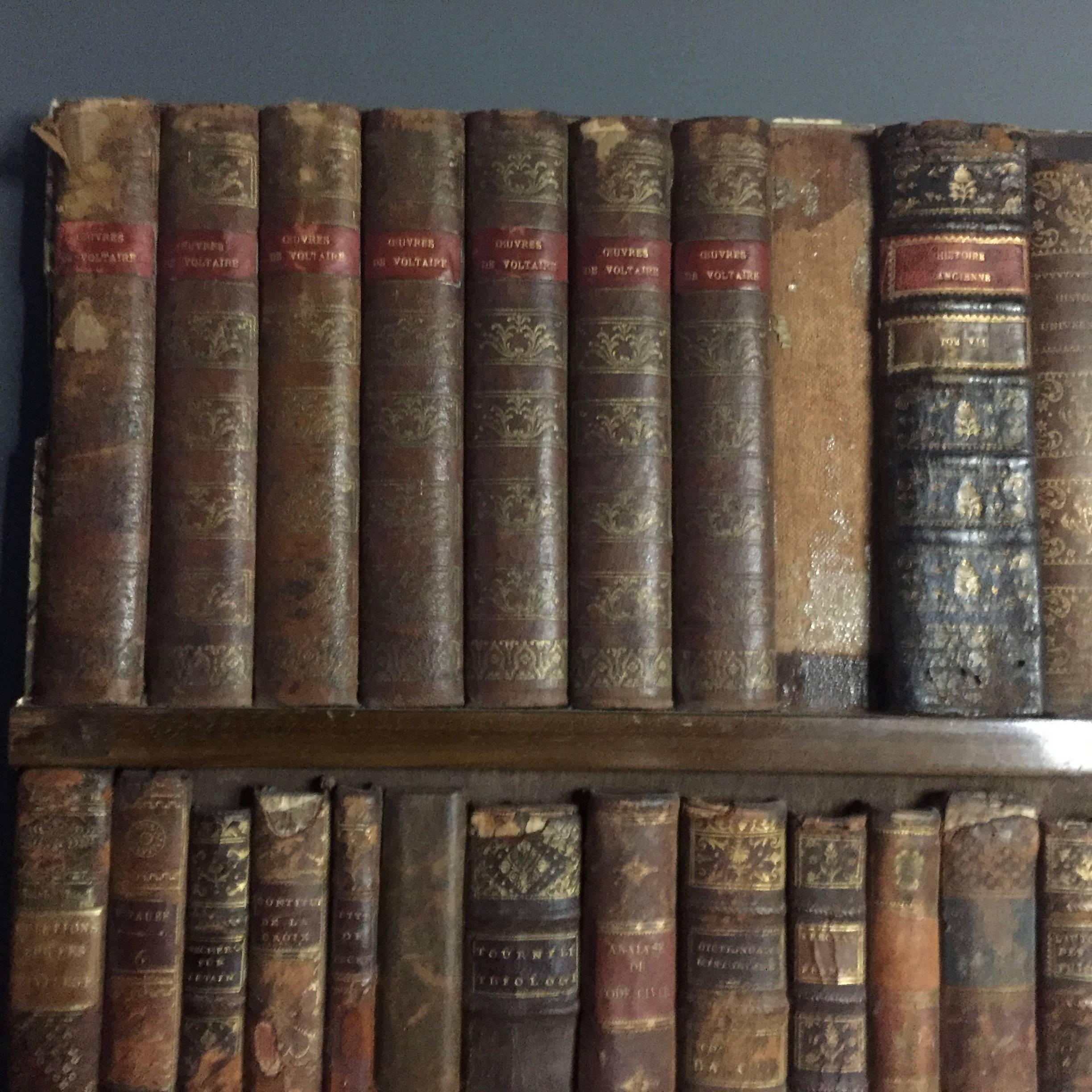 Late 19th Century Panels of 18th Century French Bookbinds For Sale 3