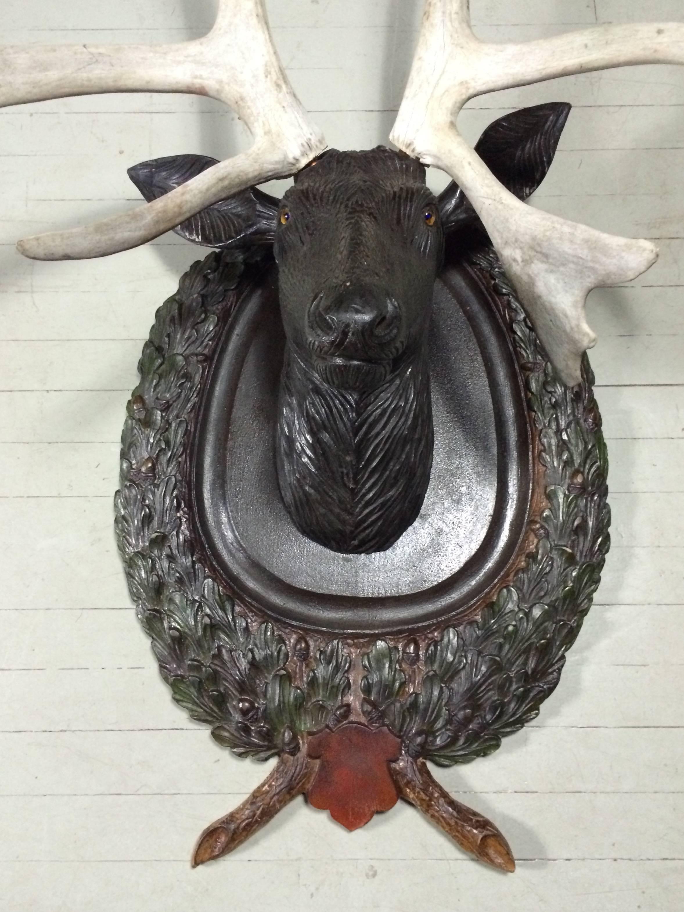 An impressive lifesize wall-mounted black forest hand-carved stag head with real antlers and glass eyes, carved/stained faux bois and leaf decorated shield background, early 1900s. Antlers mounted on copper pipe and can be removed from stag