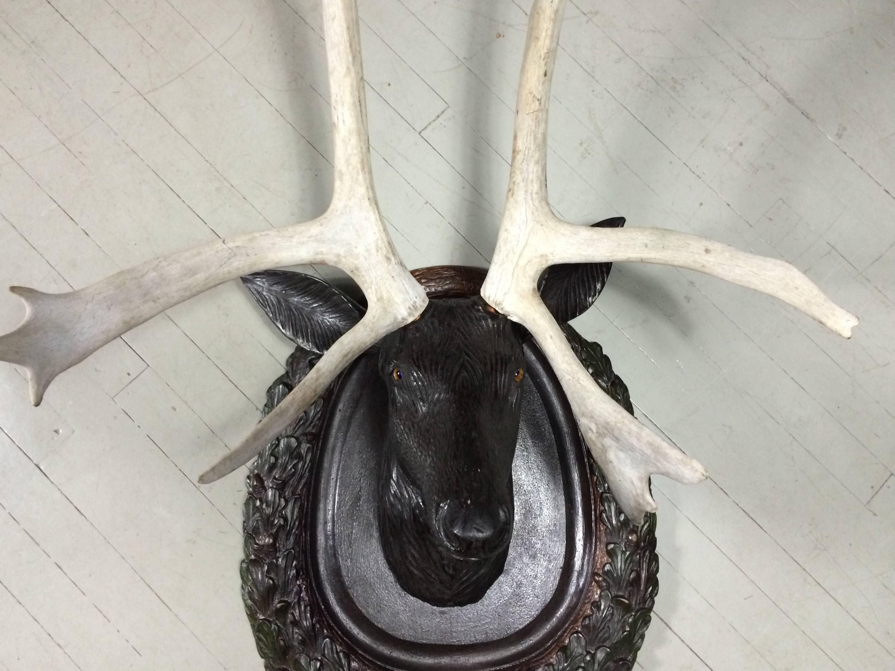 Lifesize Black Forest Carved Stag Head and Antlers, Early 1900s In Good Condition In Hudson, NY
