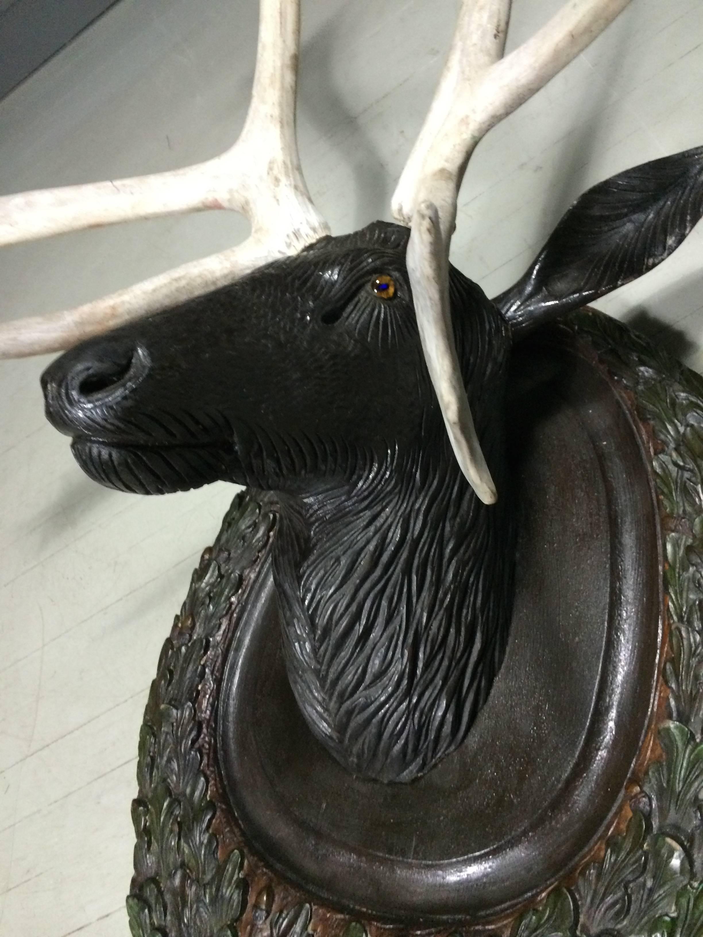 Lifesize Black Forest Carved Stag Head and Antlers, Early 1900s 4