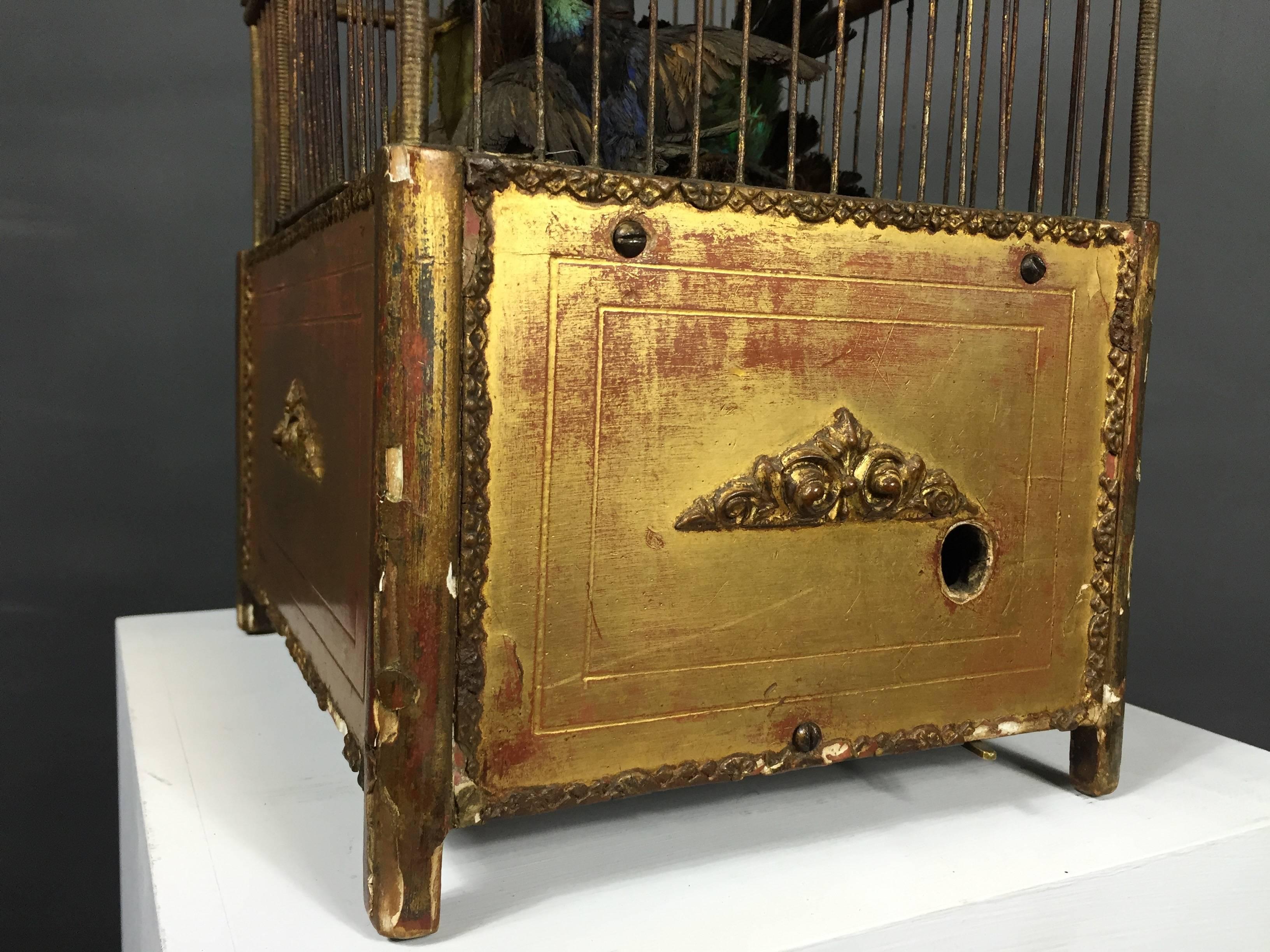 Victorian Automaton Birdcage with Three Taxidermy Birds, French, 1890 In Good Condition In Hudson, NY