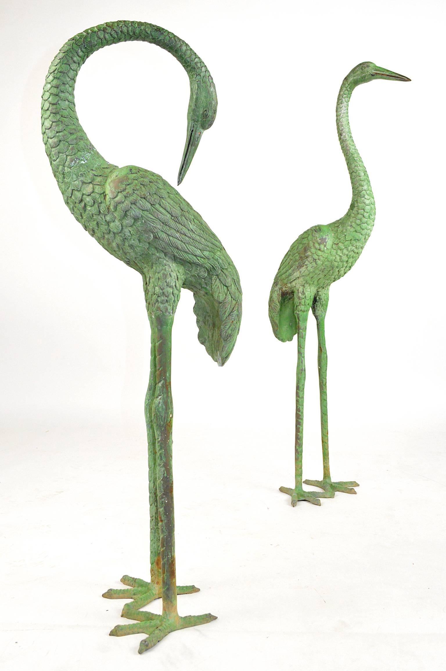 Pair of patinated bronze garden cranes with a nice even natural patina.
Shortest measures 37