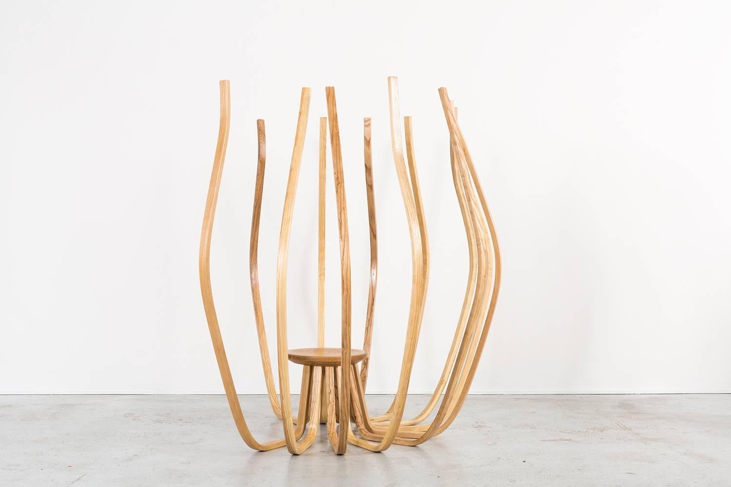 Organic Modern 