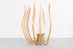 "Root" by Clara Kim