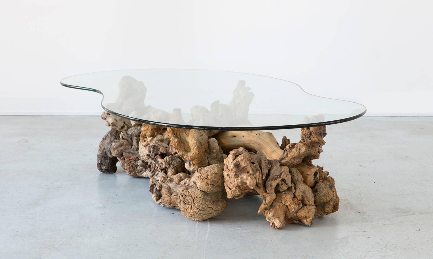 Mid-Century Modern California Driftwood Table